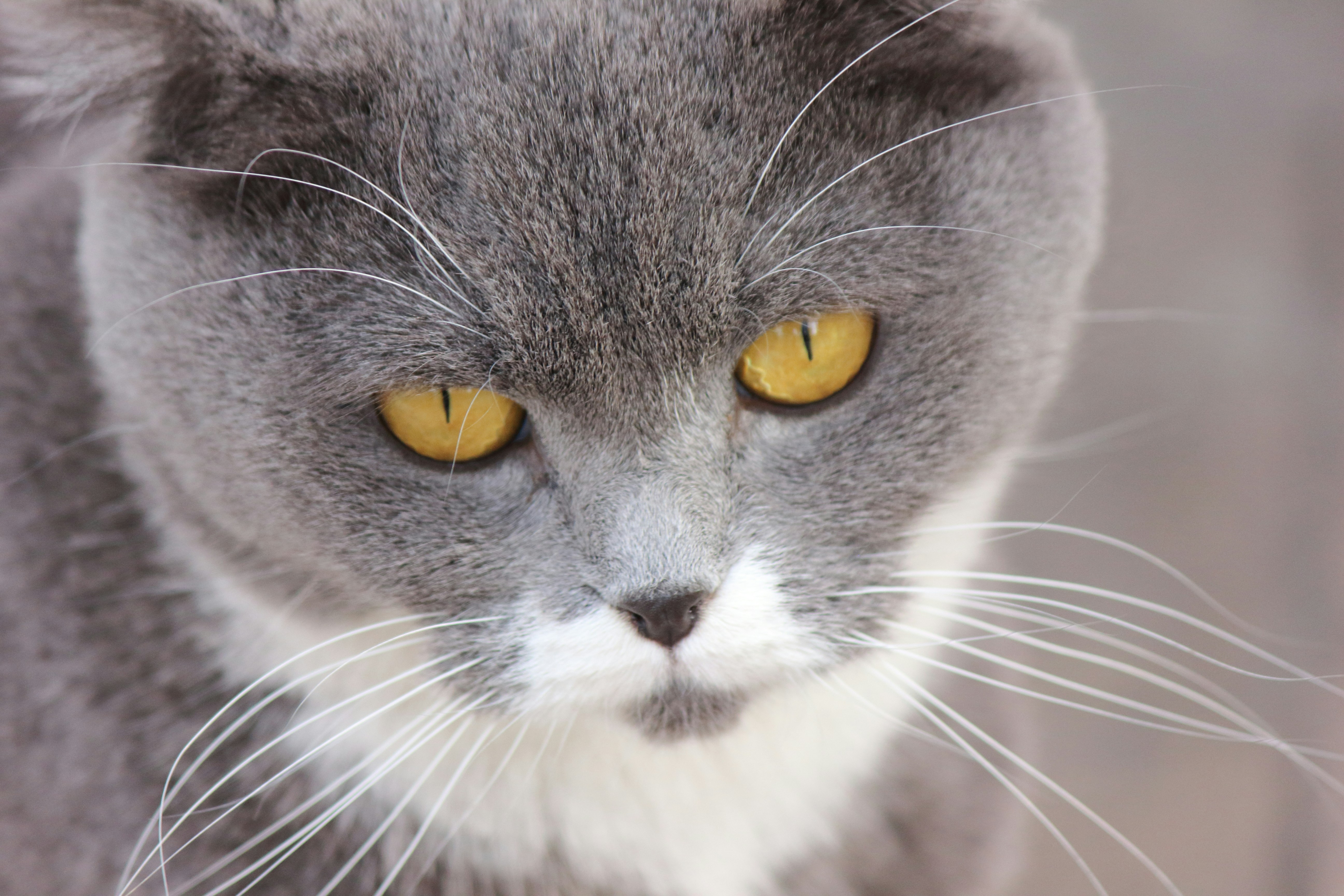 Photo by cengizozarpat