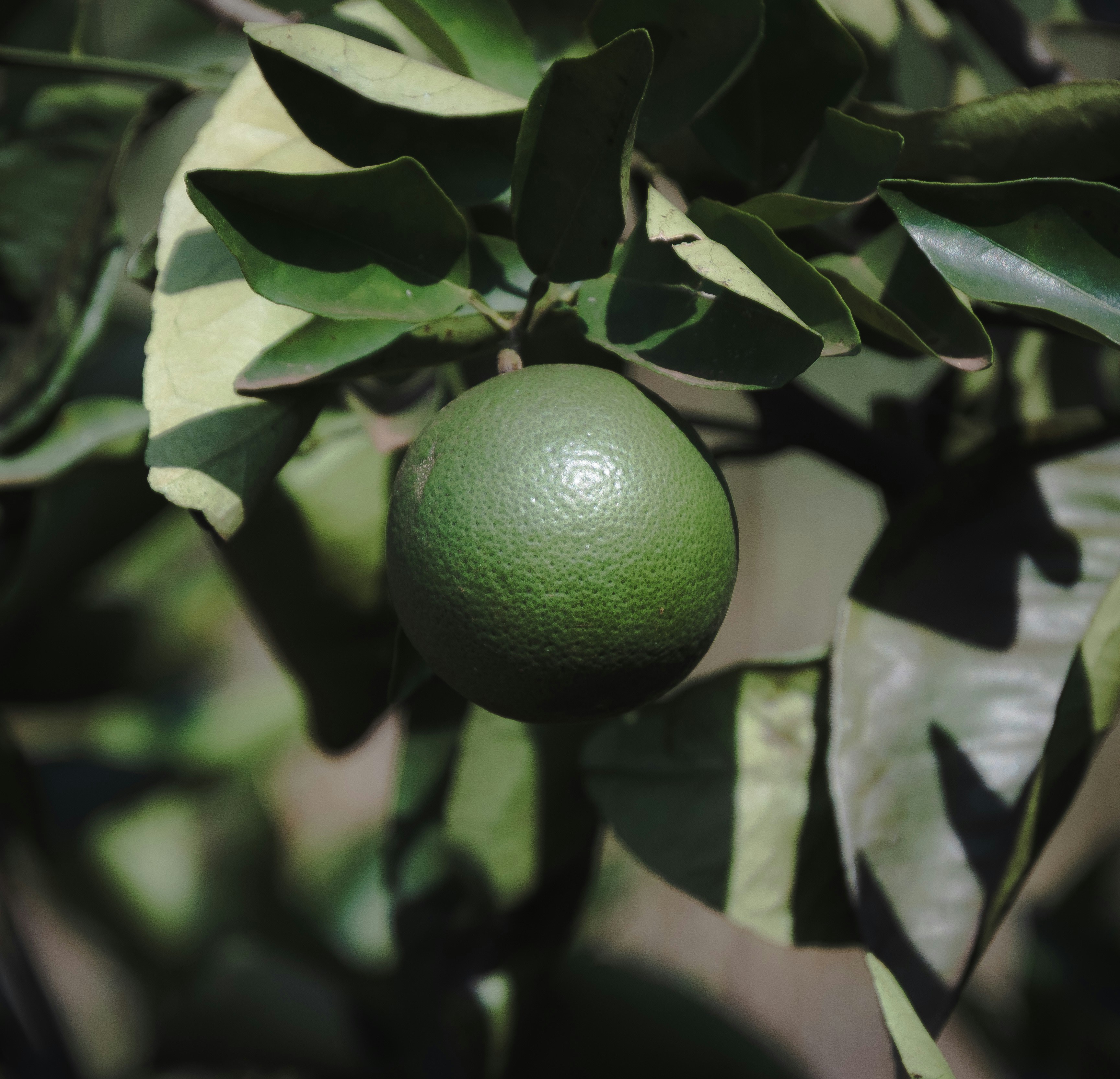 Photo by starkie_pics