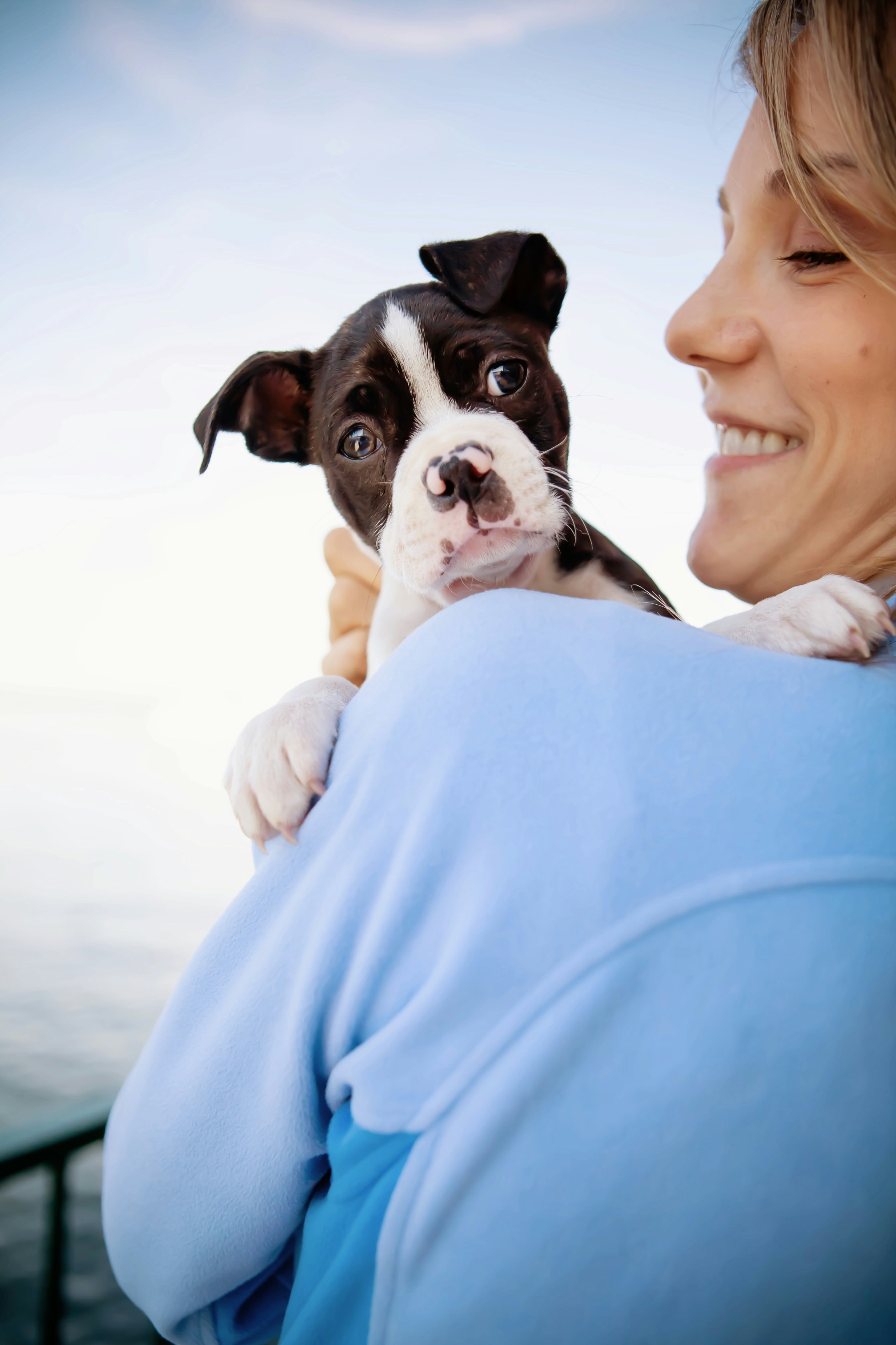 A Complete Guide to Affordable and Comprehensive Pet Insurance for Senior Pets