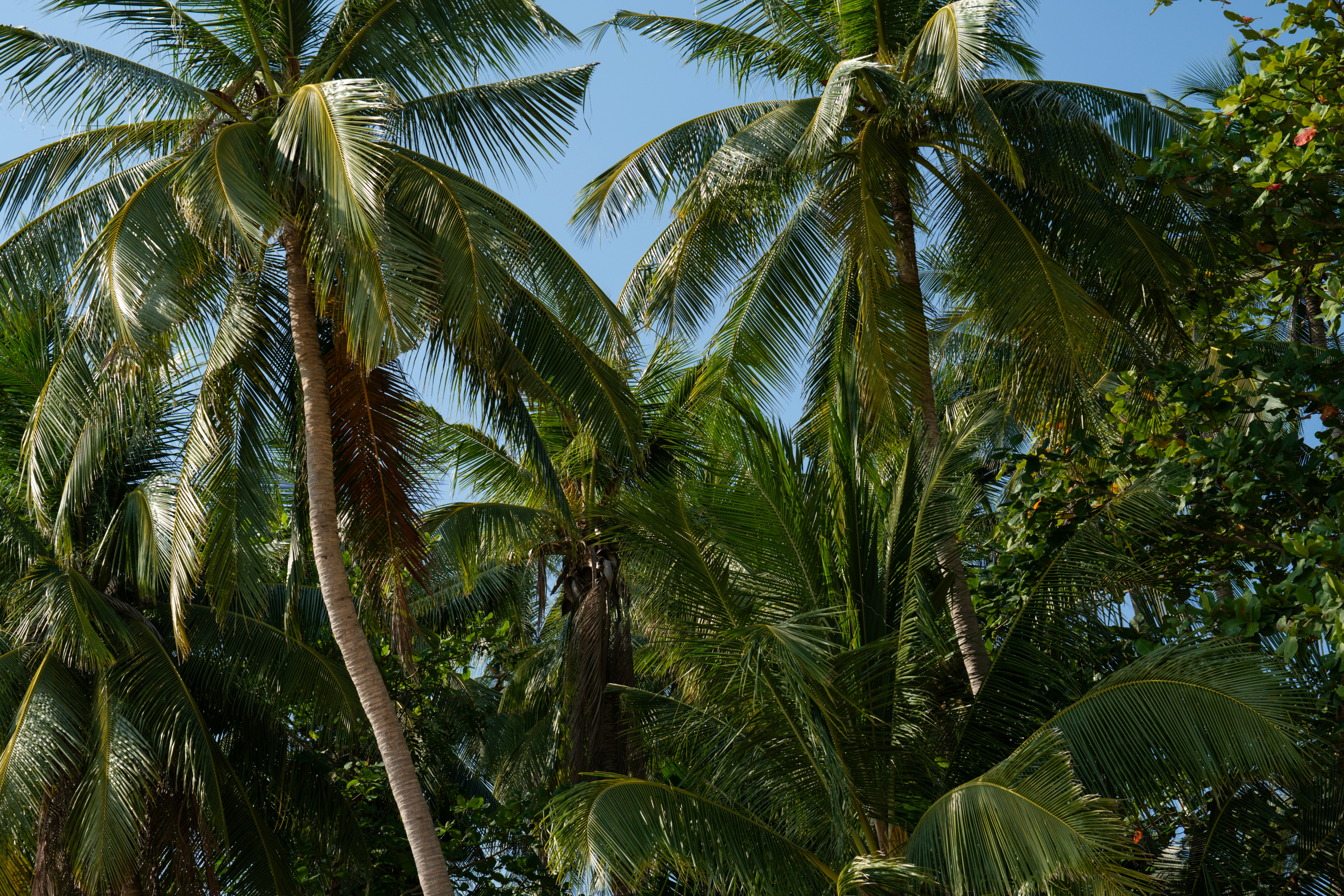 Photo by samtakespictures