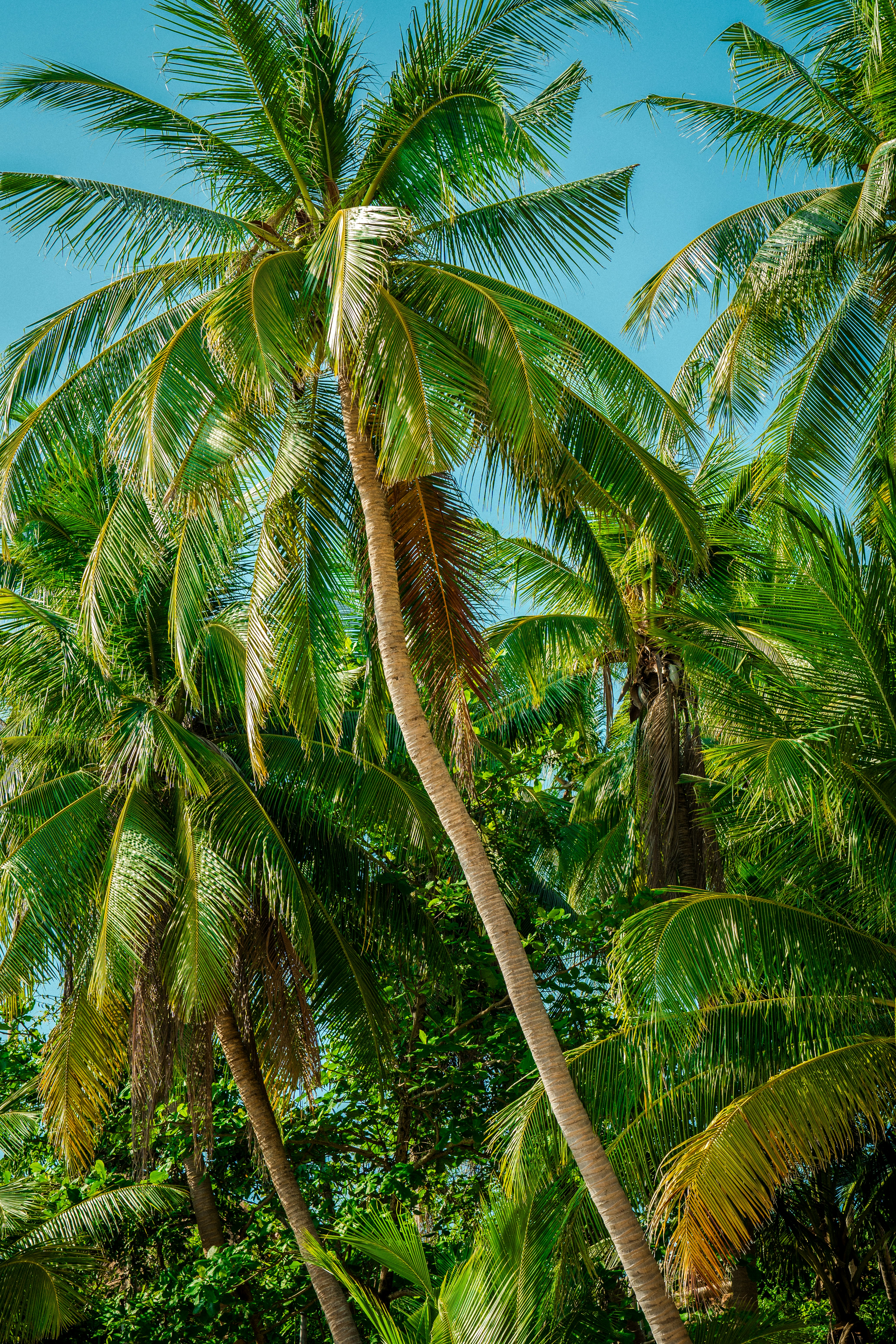 Photo by samtakespictures