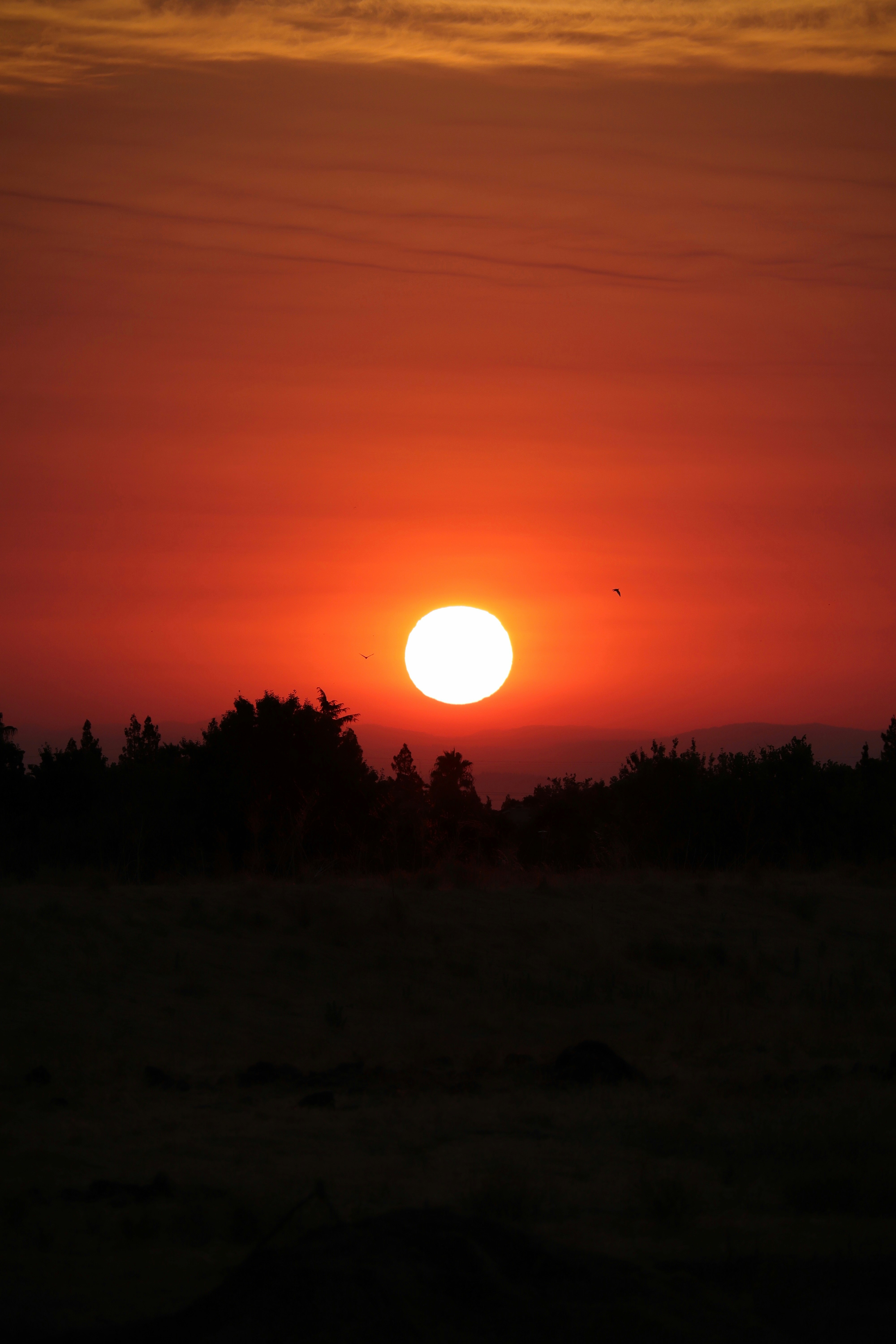 Photo by sarguninder