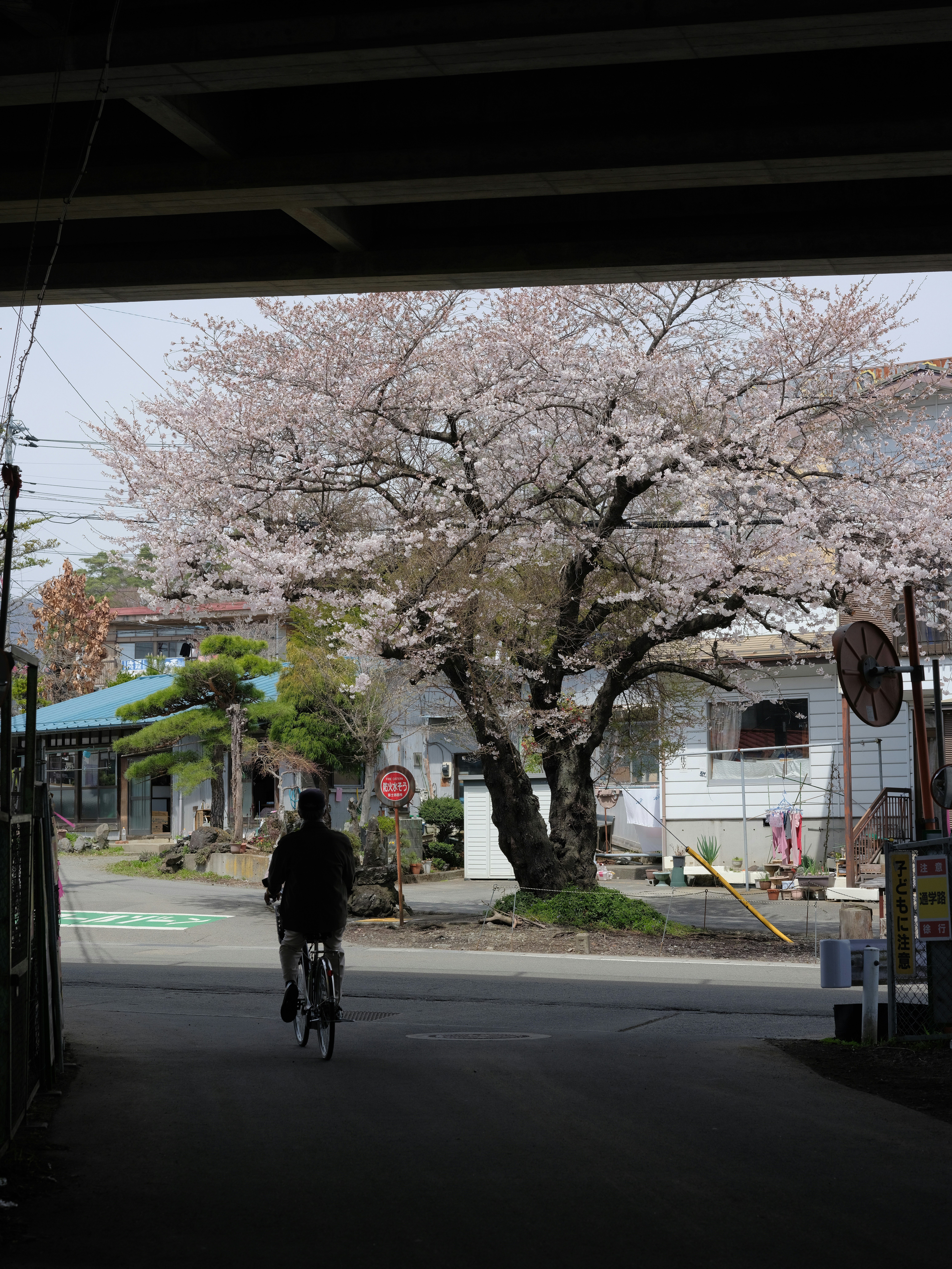 Photo by kkkxixiaole