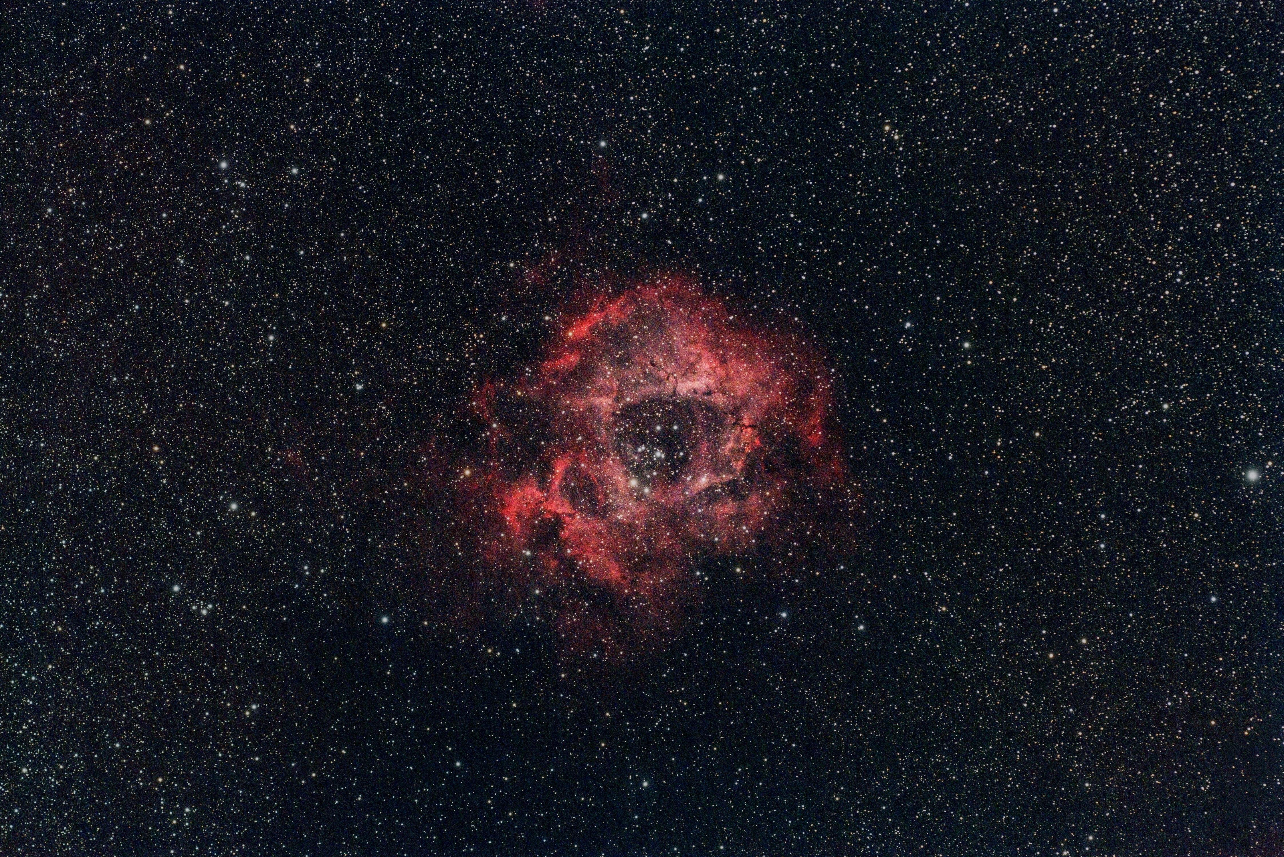 Moms And Dads Frequently Neglect The Substantial Role That Youngster Therapists Play In Psychological Health; Discover Exactly How They Aid Support Durability And Advertise Advancement In Kids