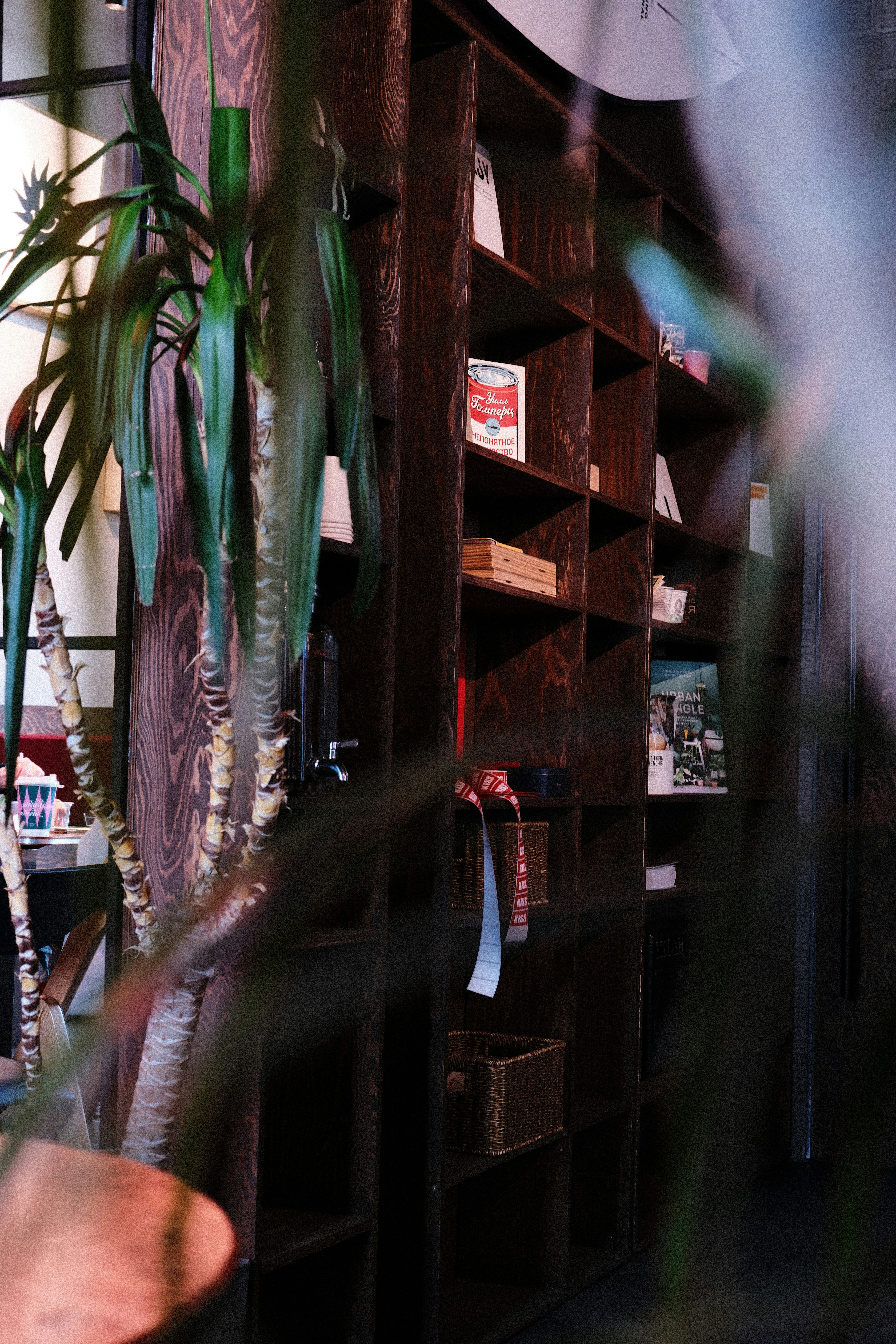 Photo by nikan_tanya