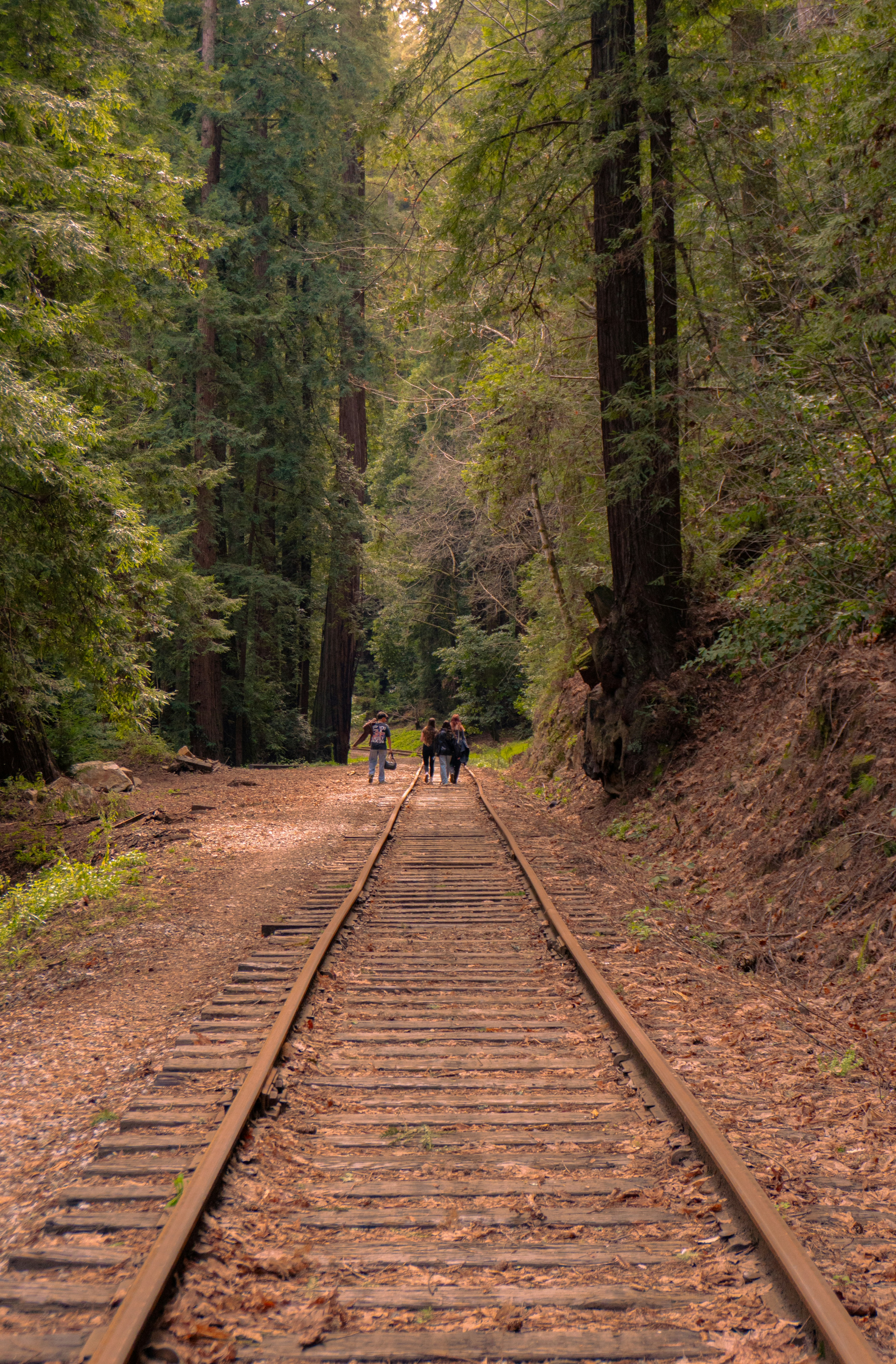 Photo by naveenketterer