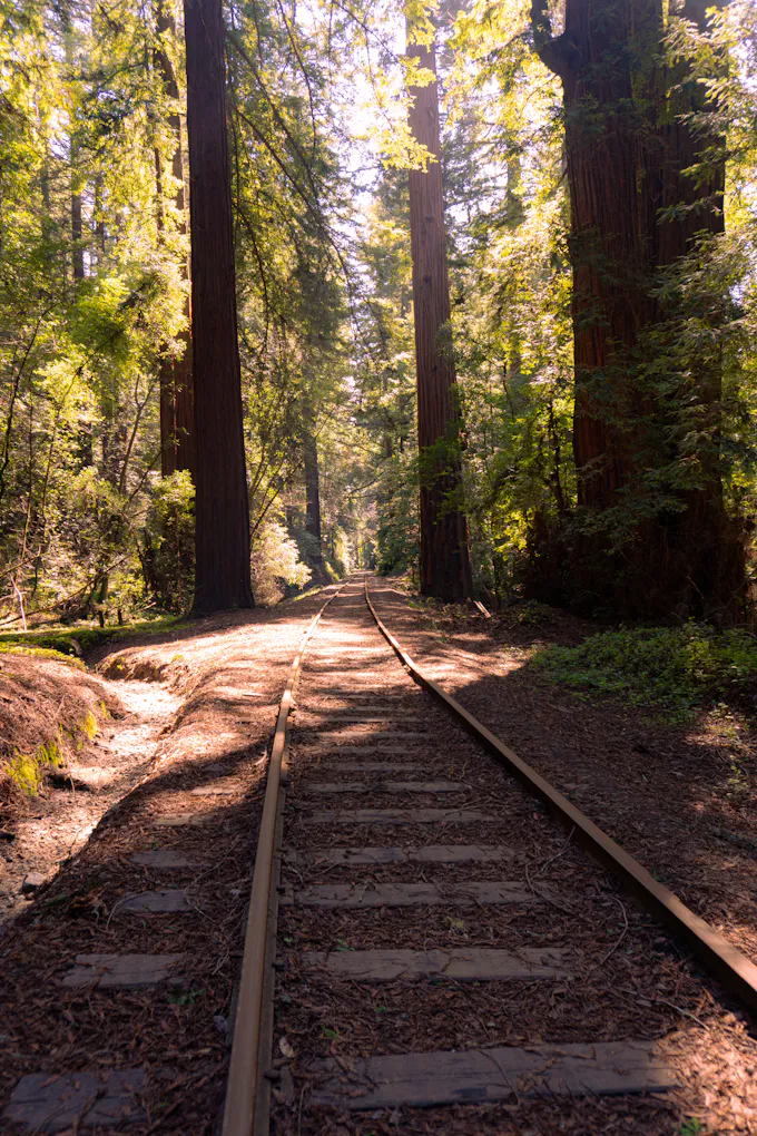Railroad tracks running through a forested mountain landscape, similar to the historic Allegheny Portage Railroad corridor in Allegheny Township, PA