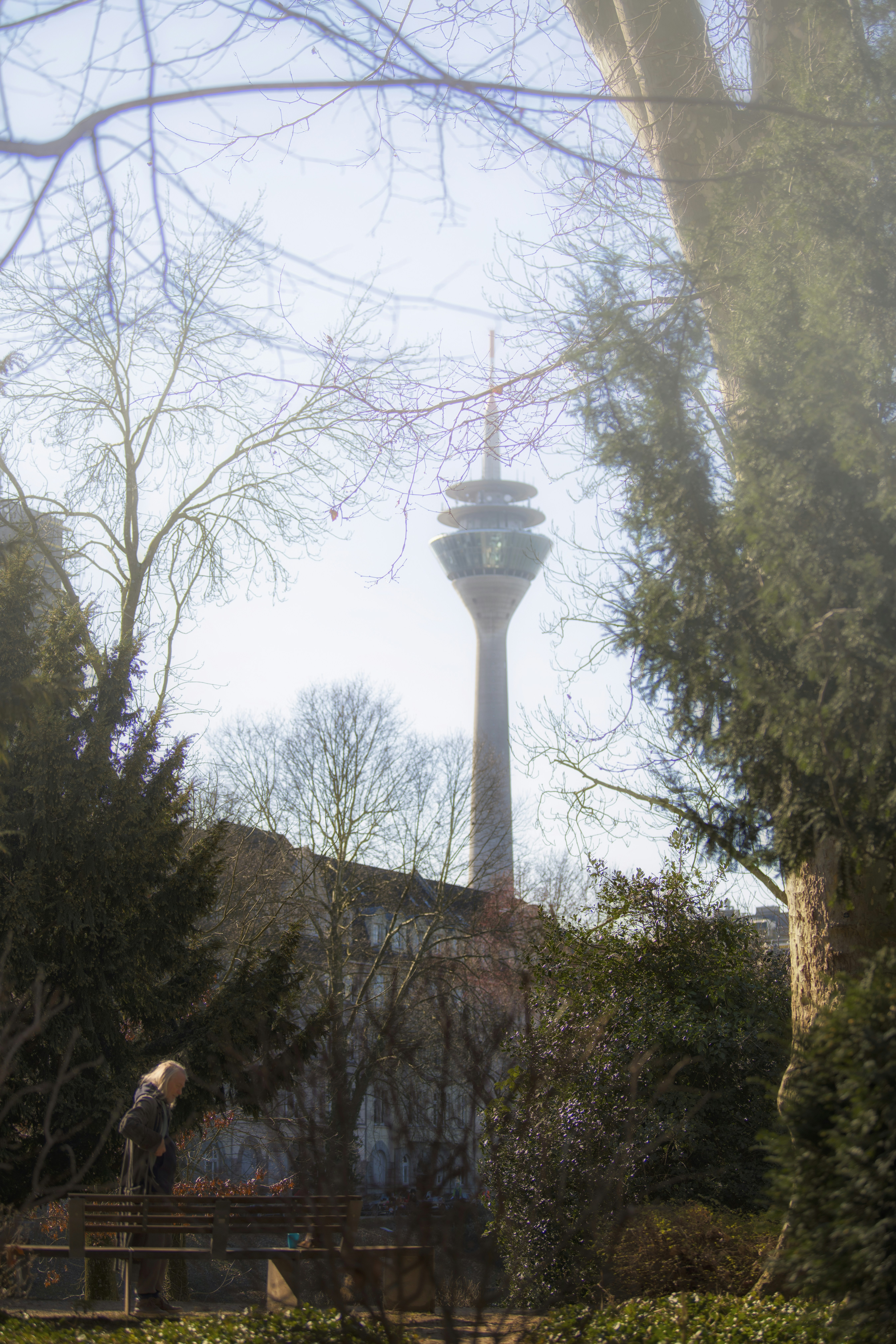 A TV tower rises through the park's trees.