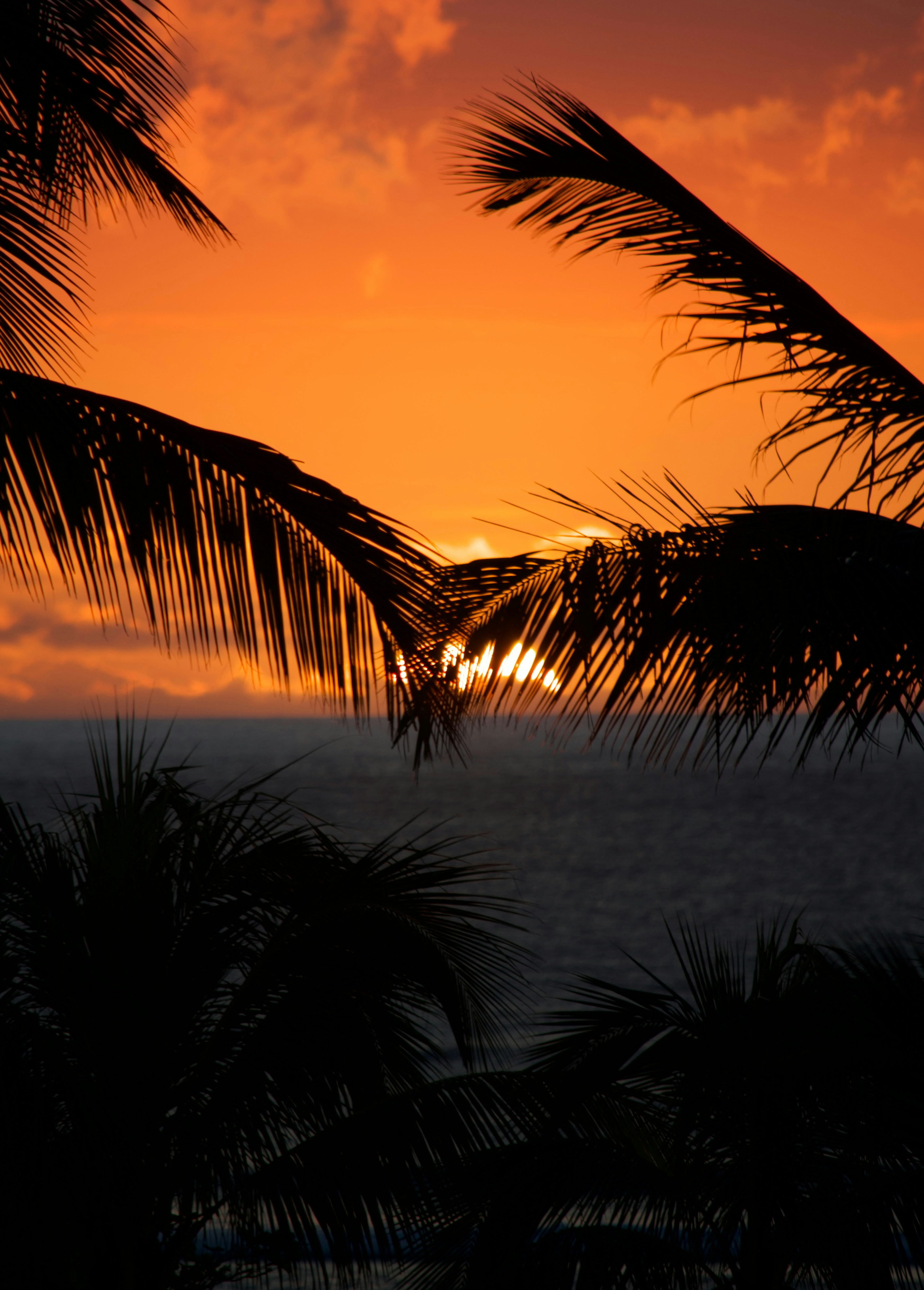 Photo by arptrastogi