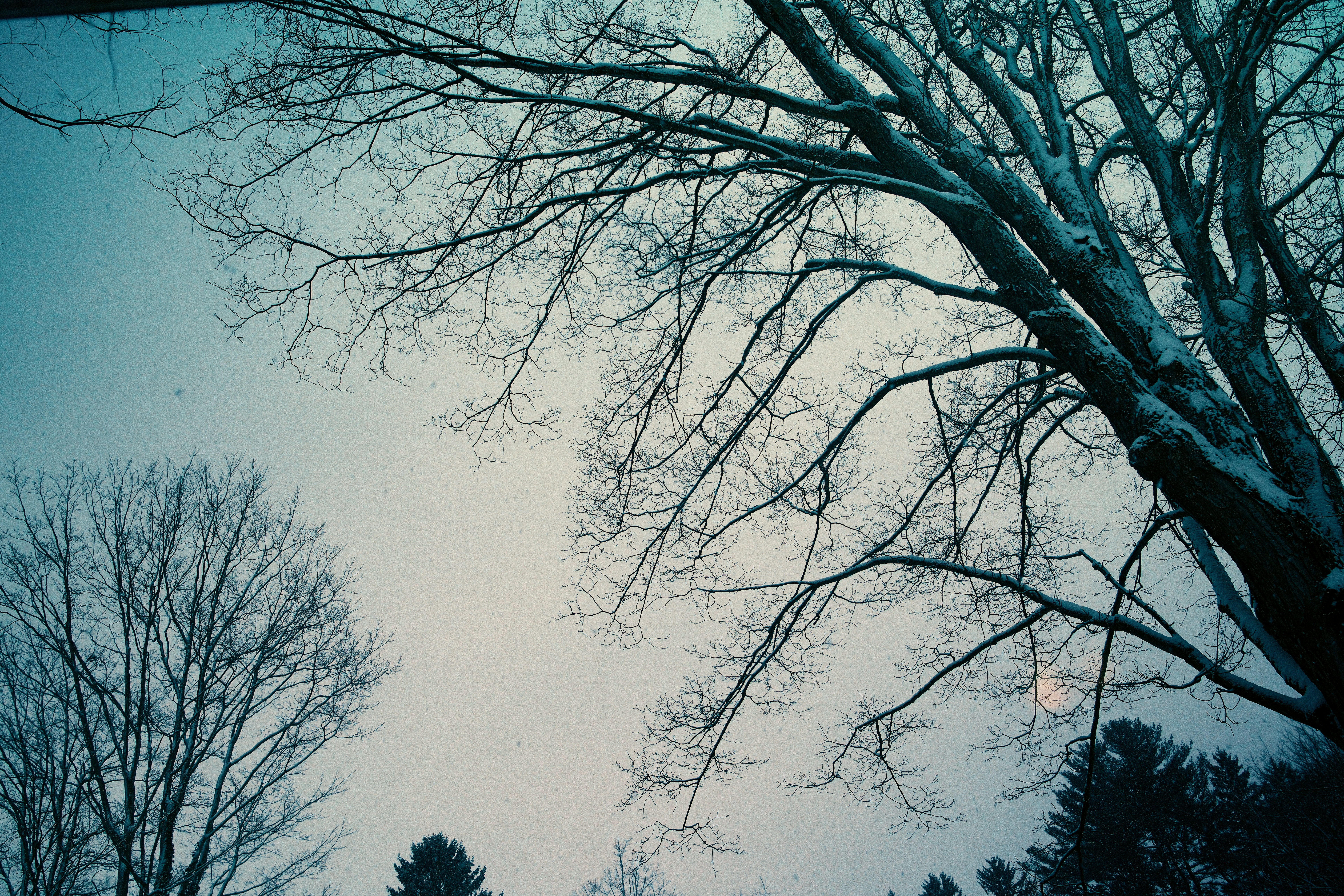 Photo by shawnmclark