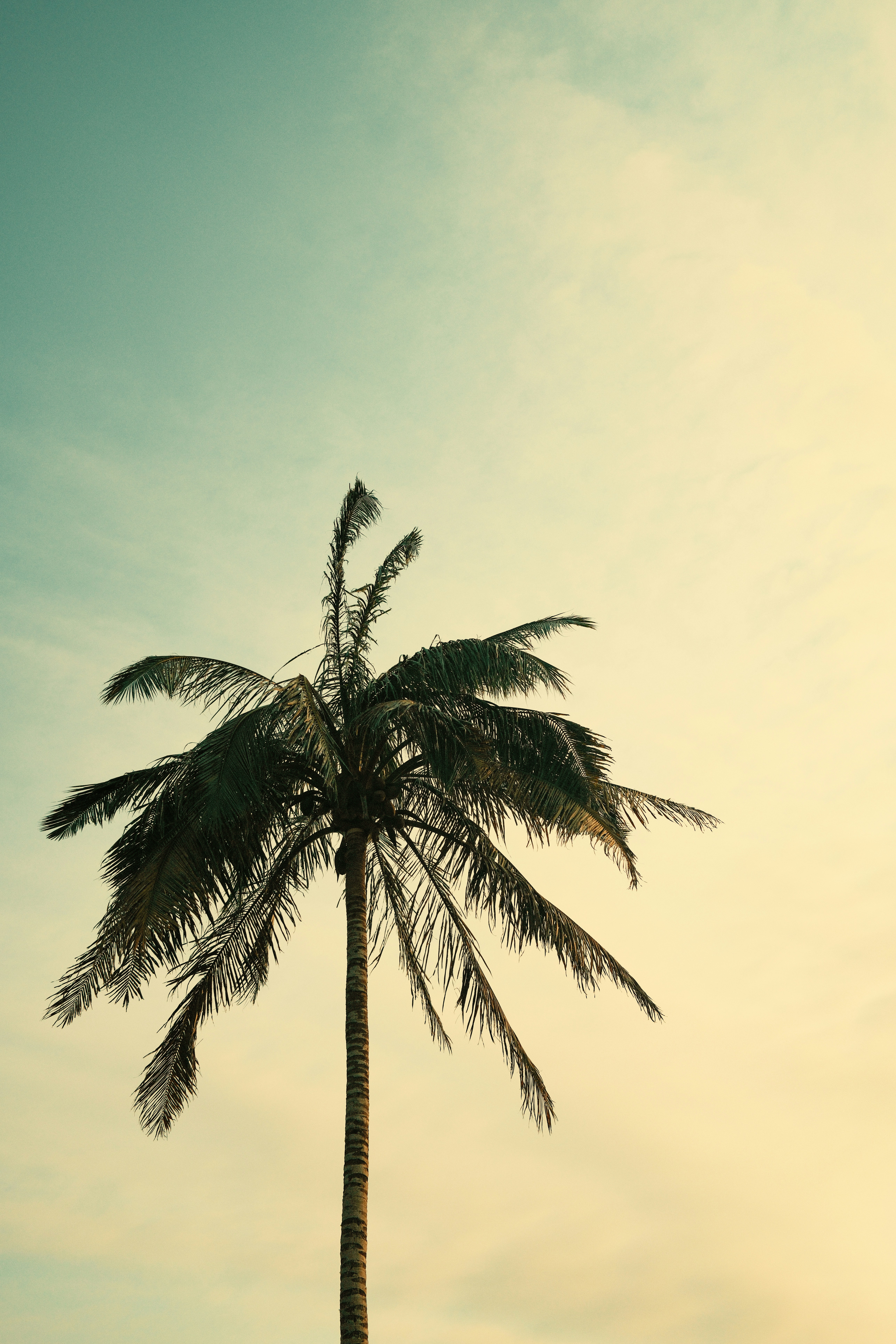 Photo by shawnmclark