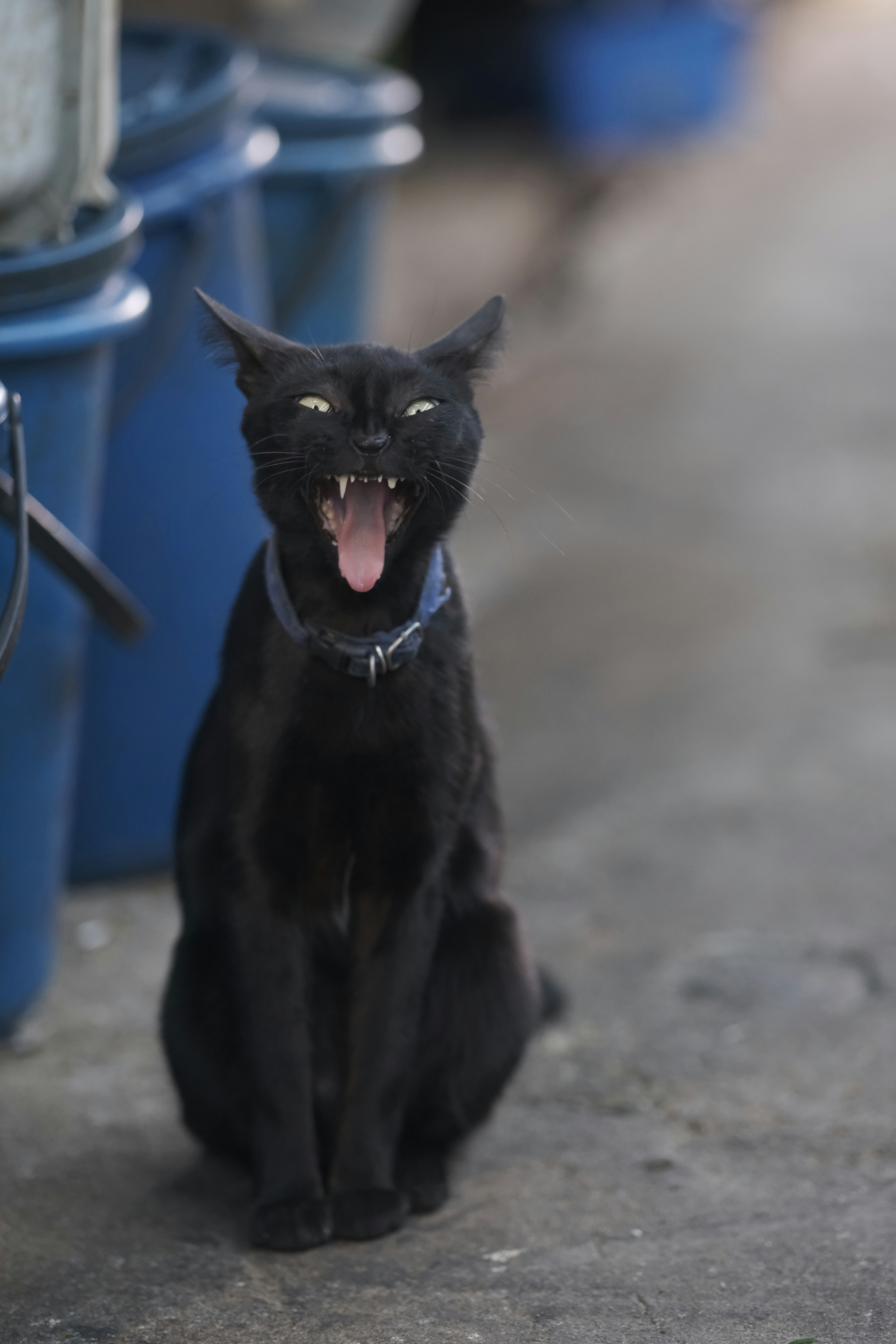 Alarms and Timers Beeping (image credits: unsplash)