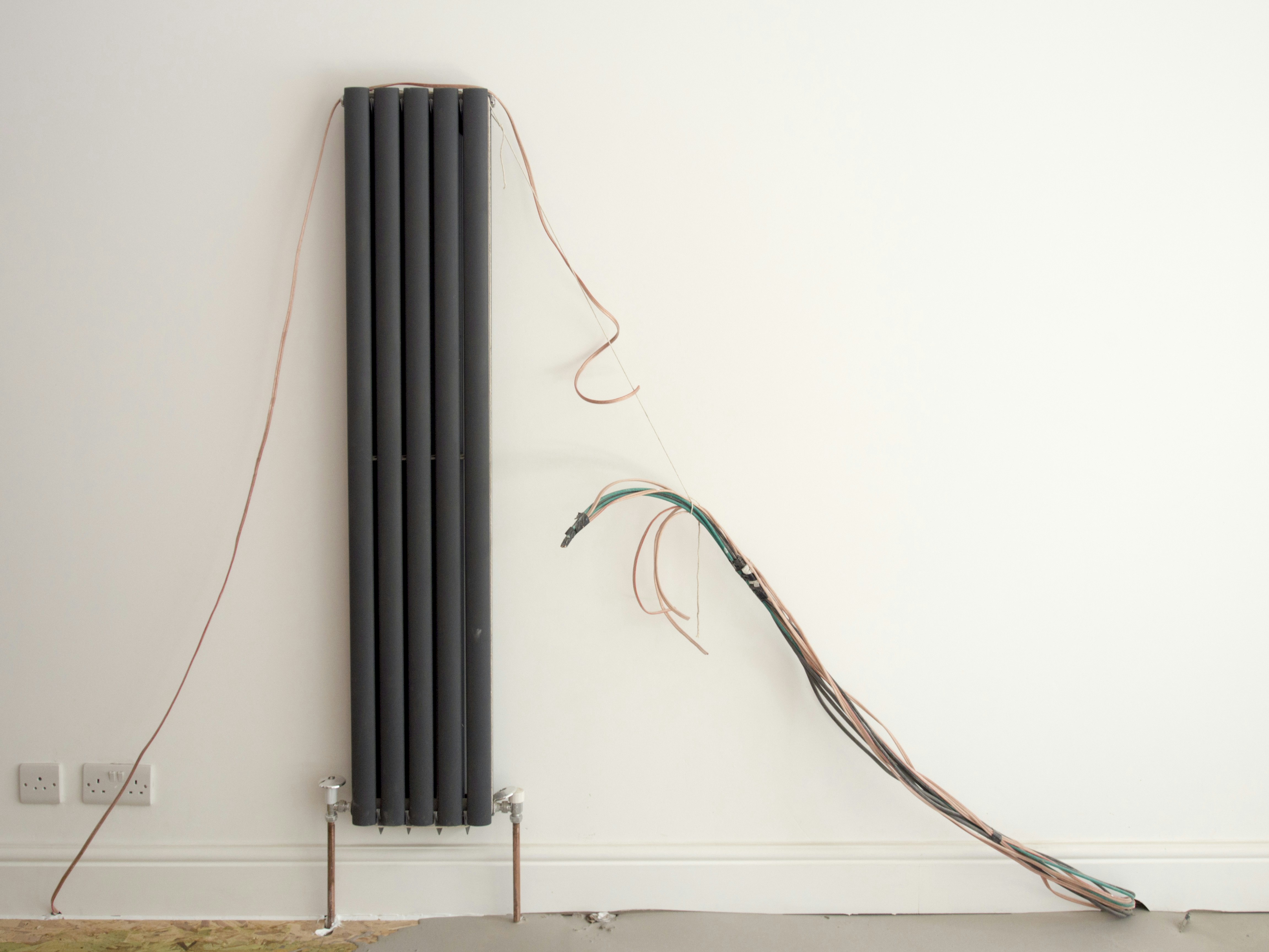 Photo by brett_jordan