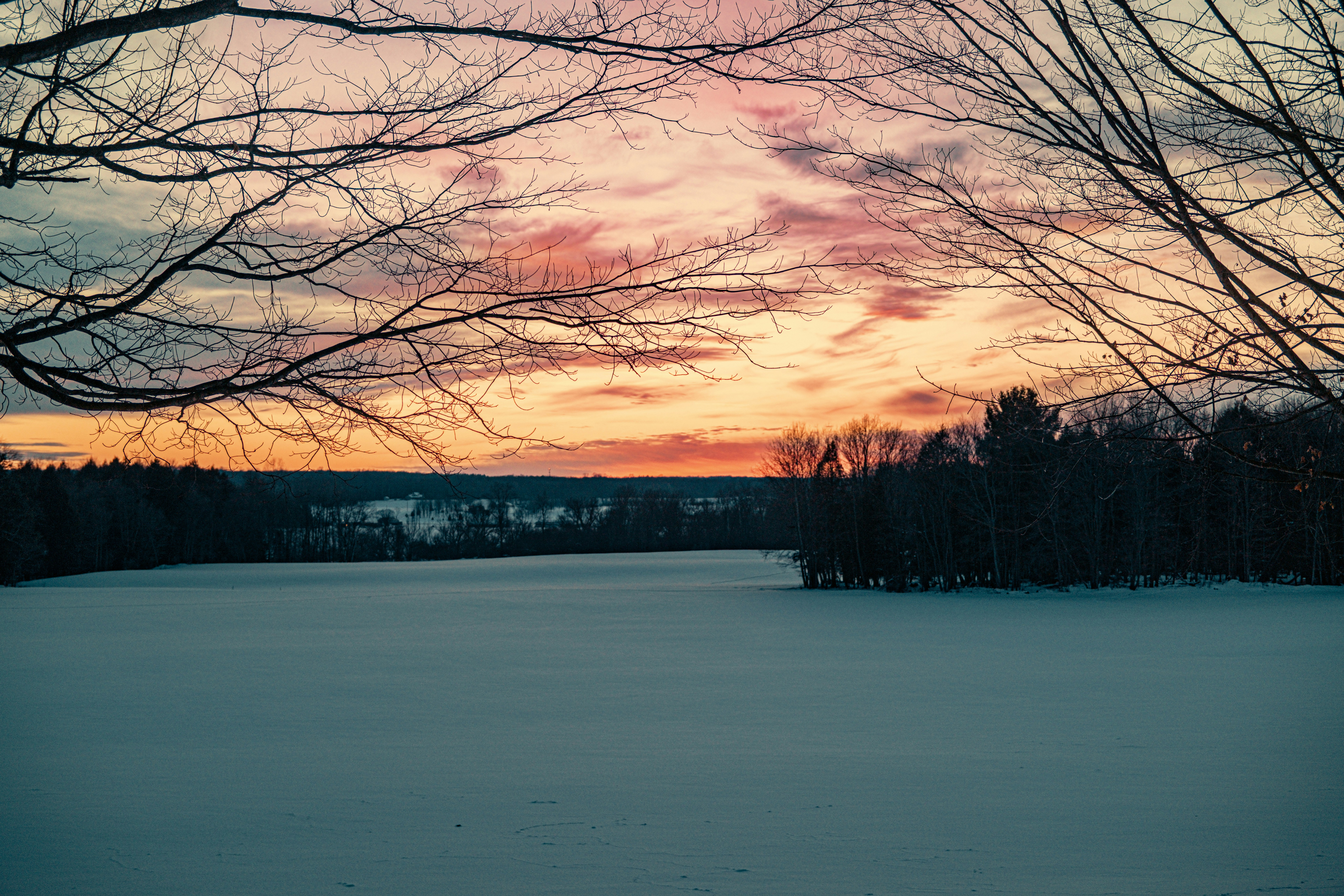 Photo by shawnmclark