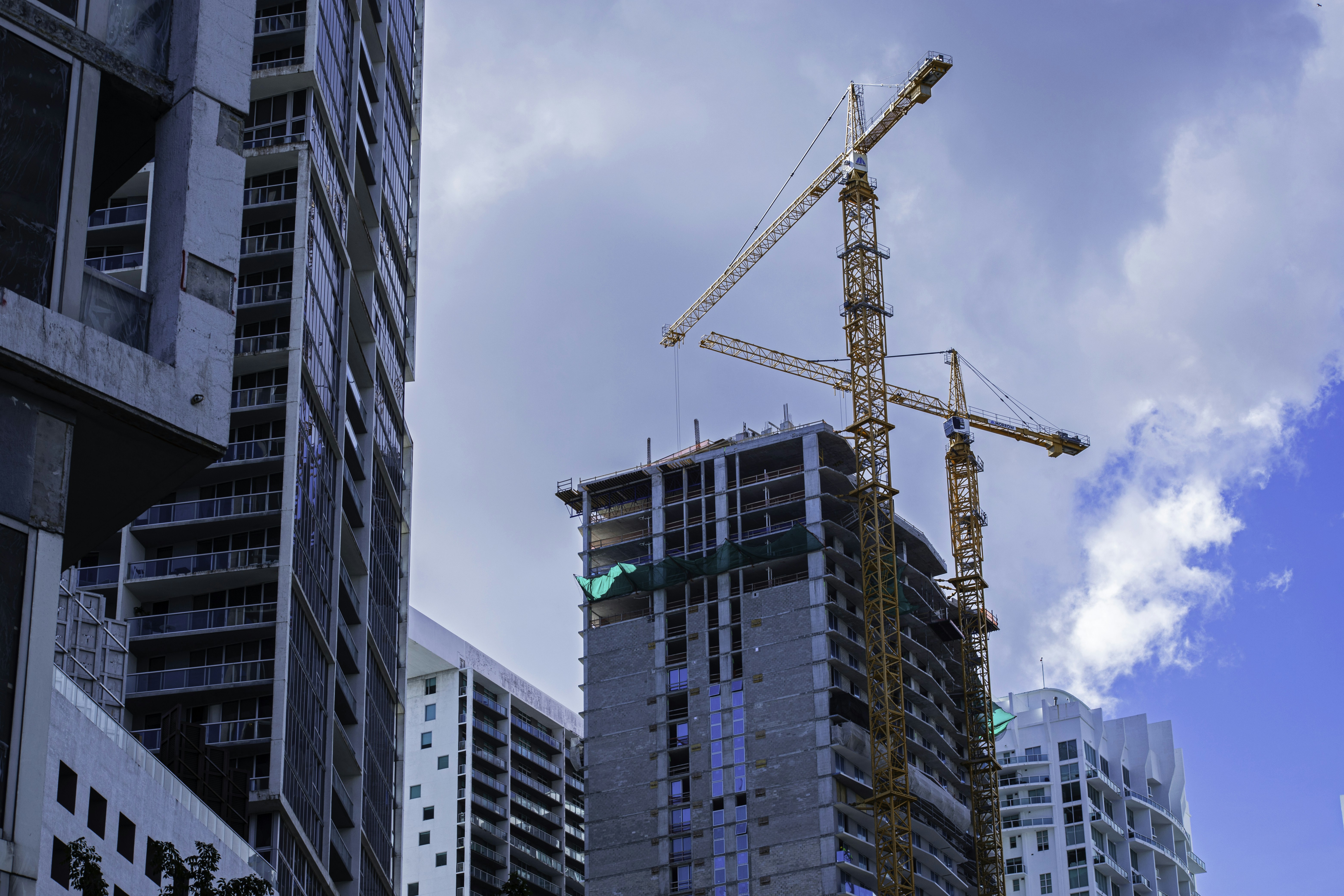 Construction cranes stand tall over buildings.