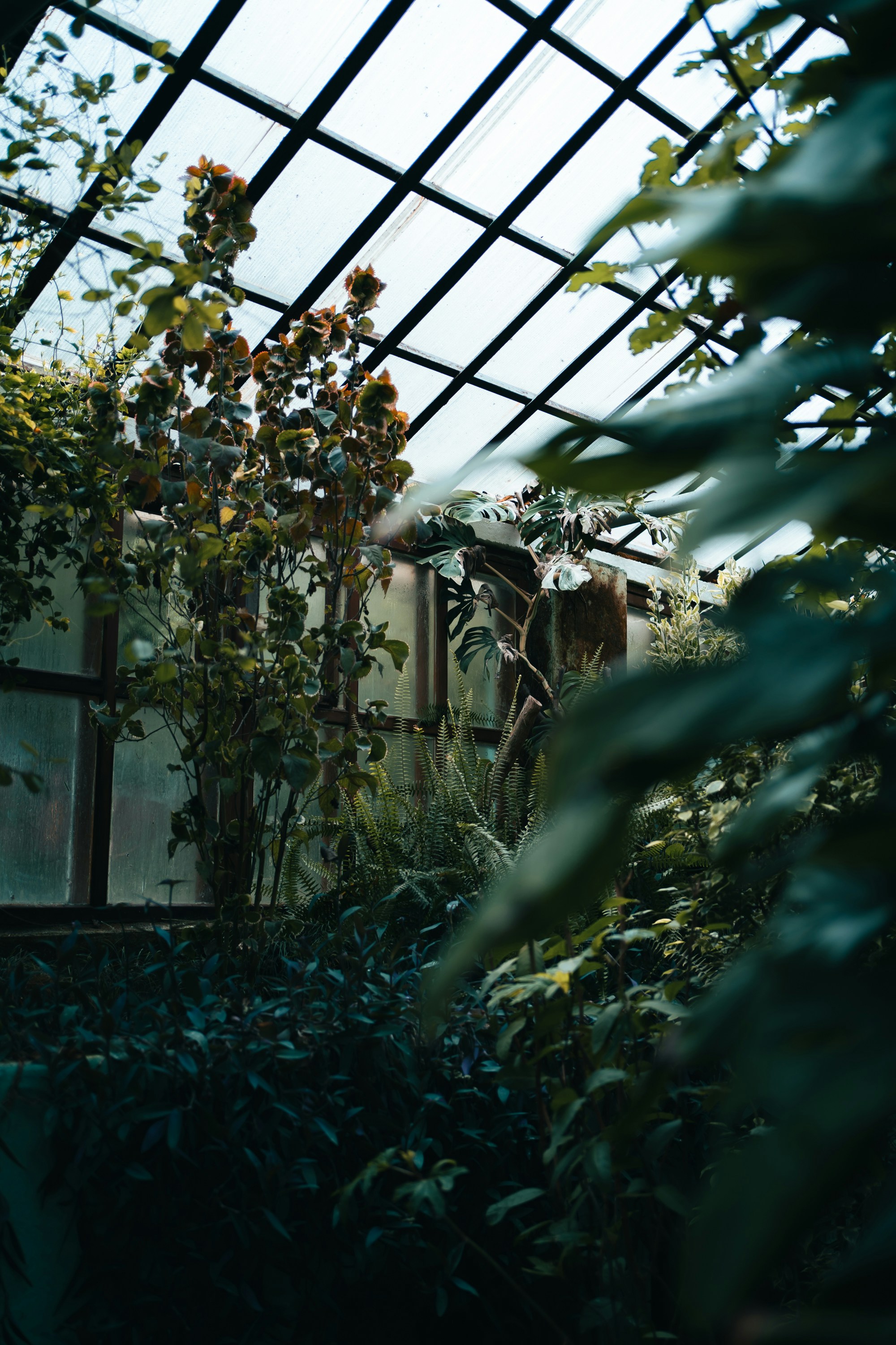 Photo by vadimsadovski