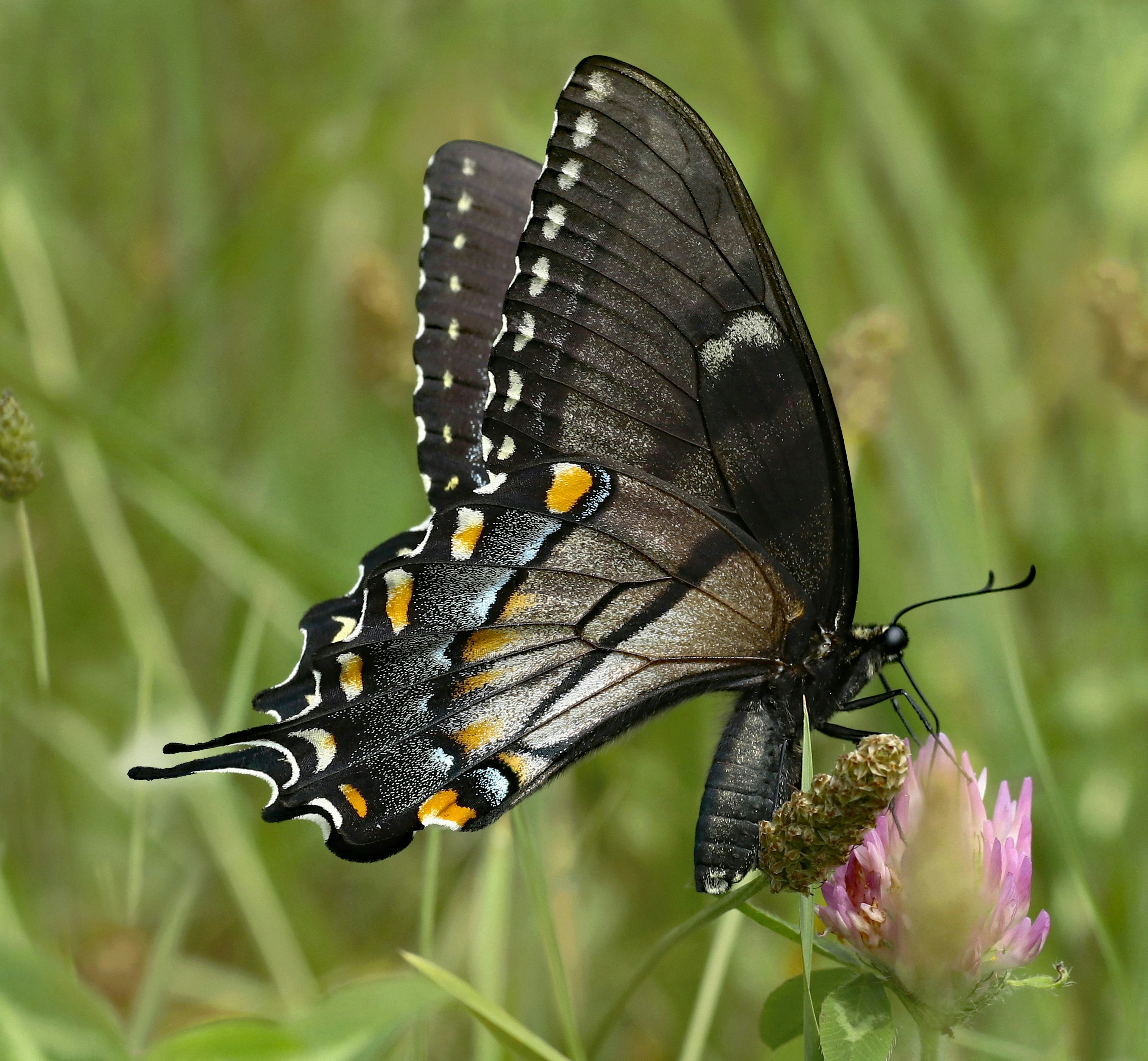 Photo by telliottmbamsc