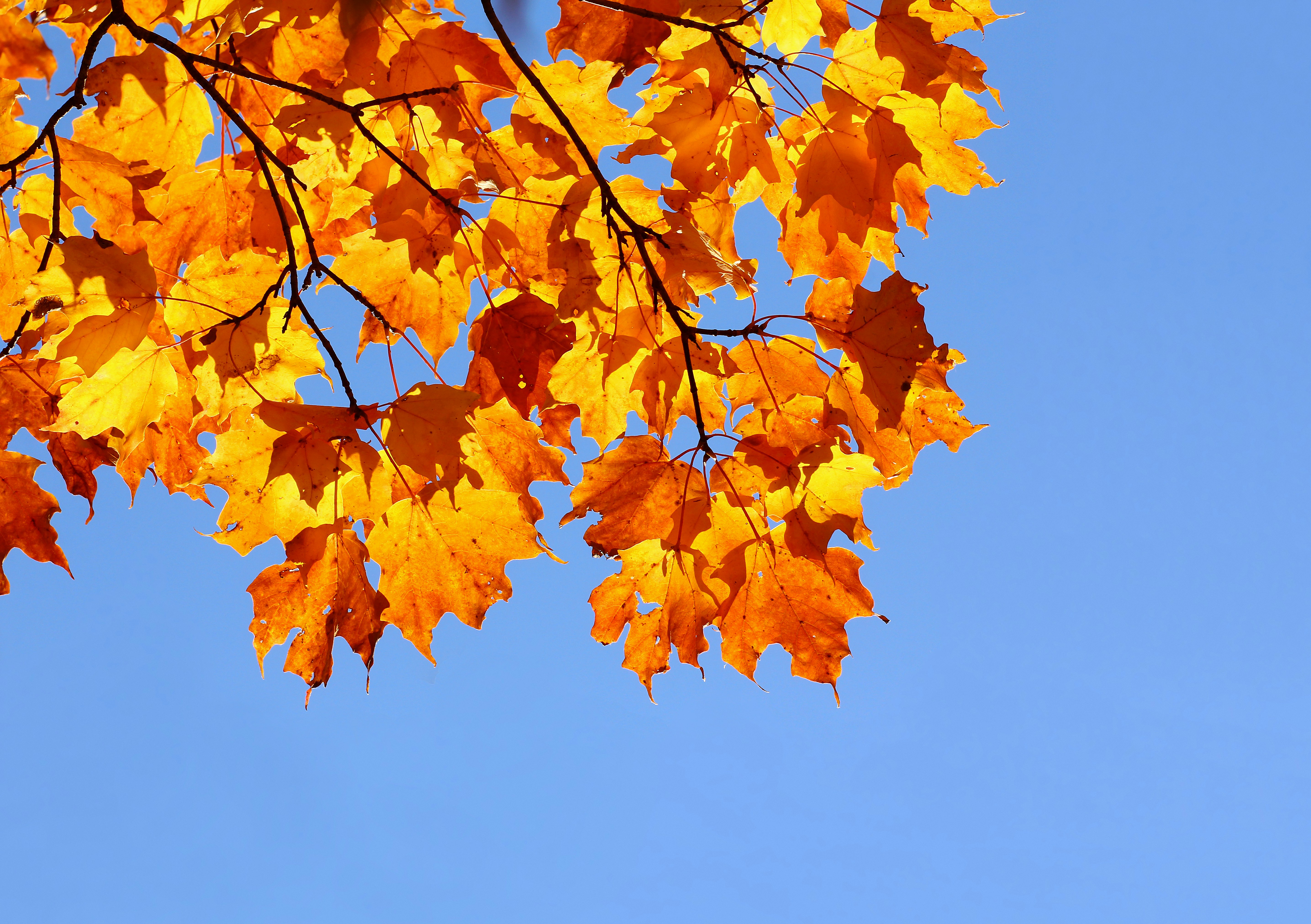 Photo by telliottmbamsc