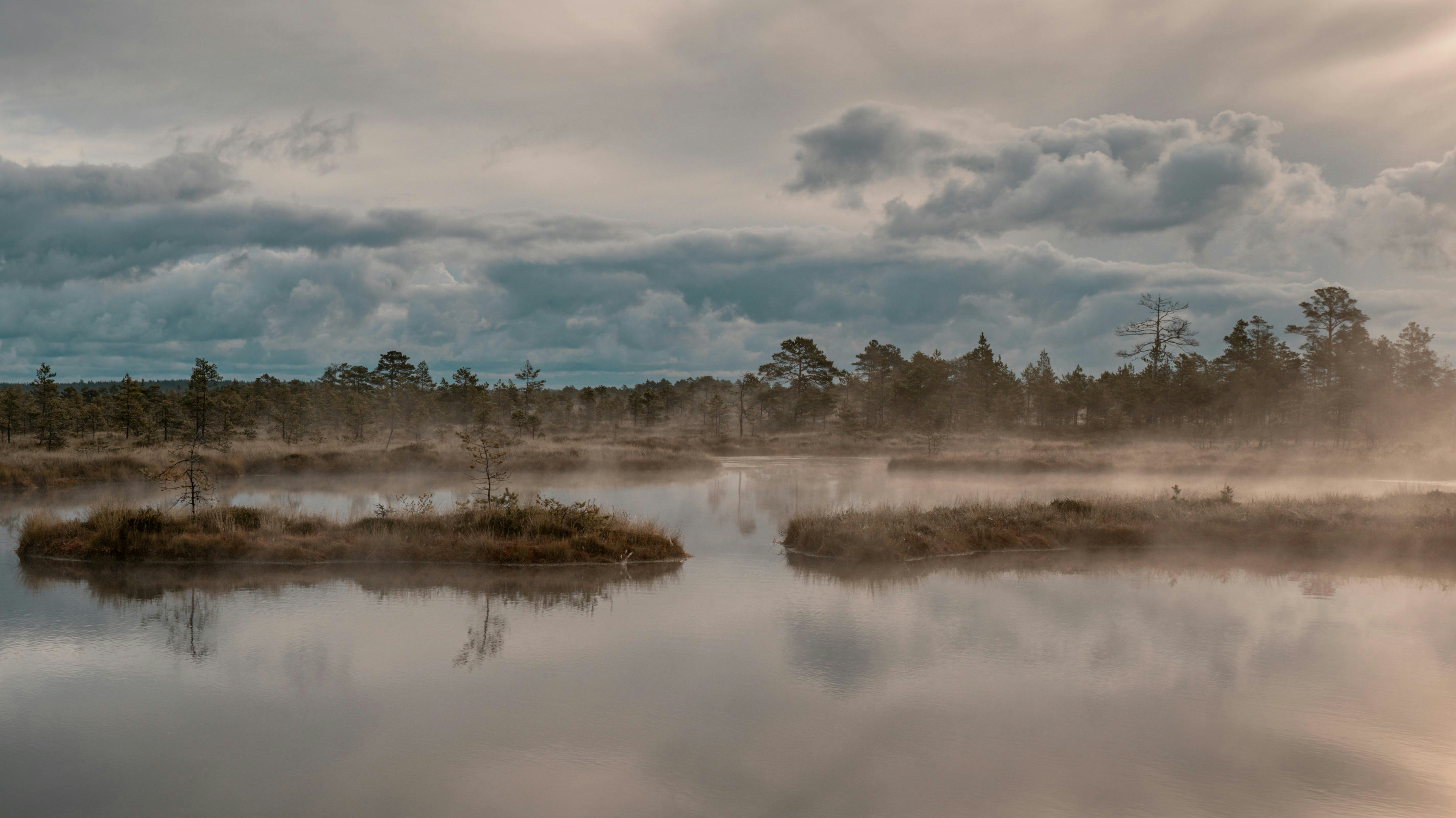 Photo by raulling