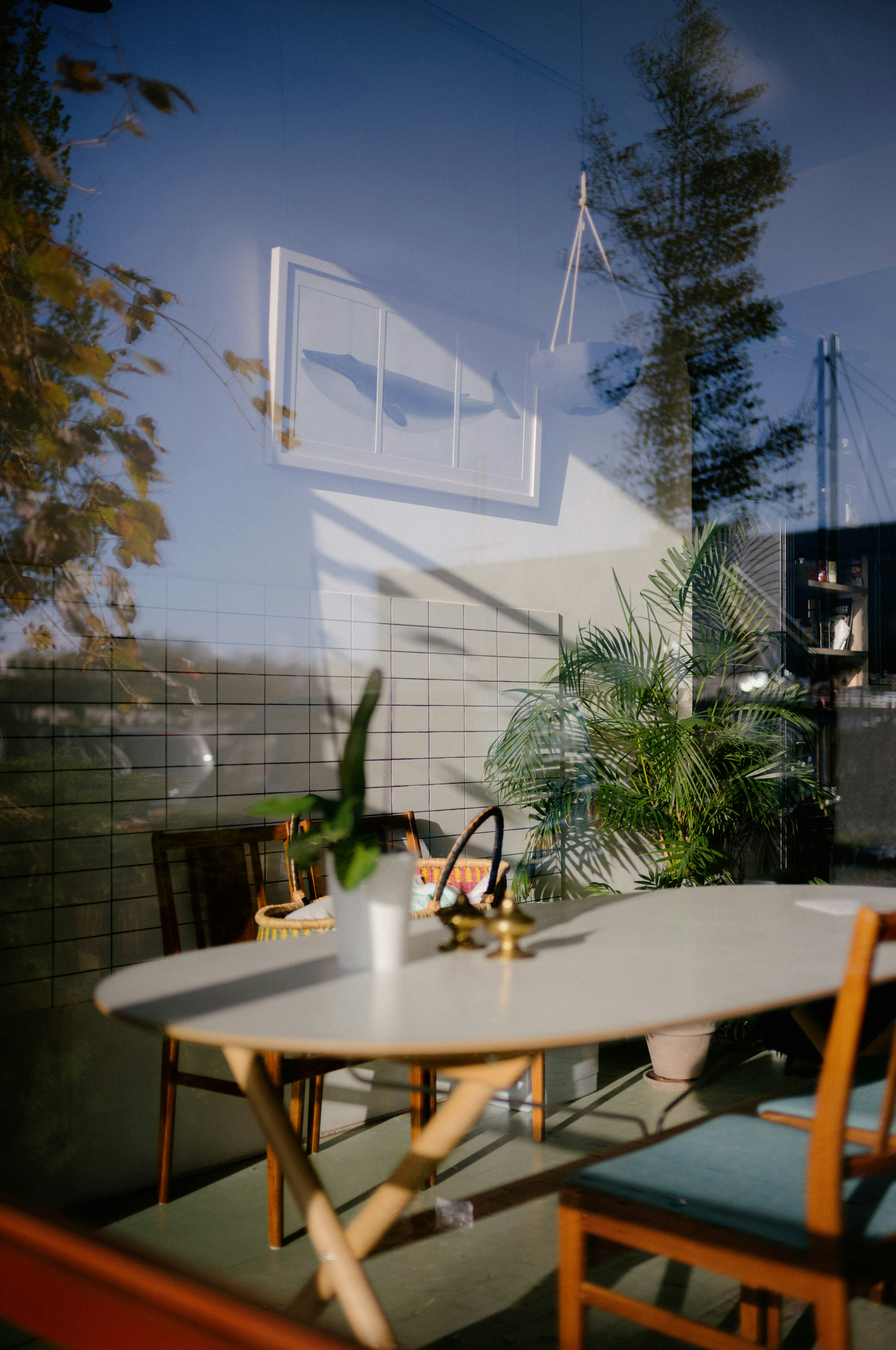 Interior reflected in a window with plants and furniture.