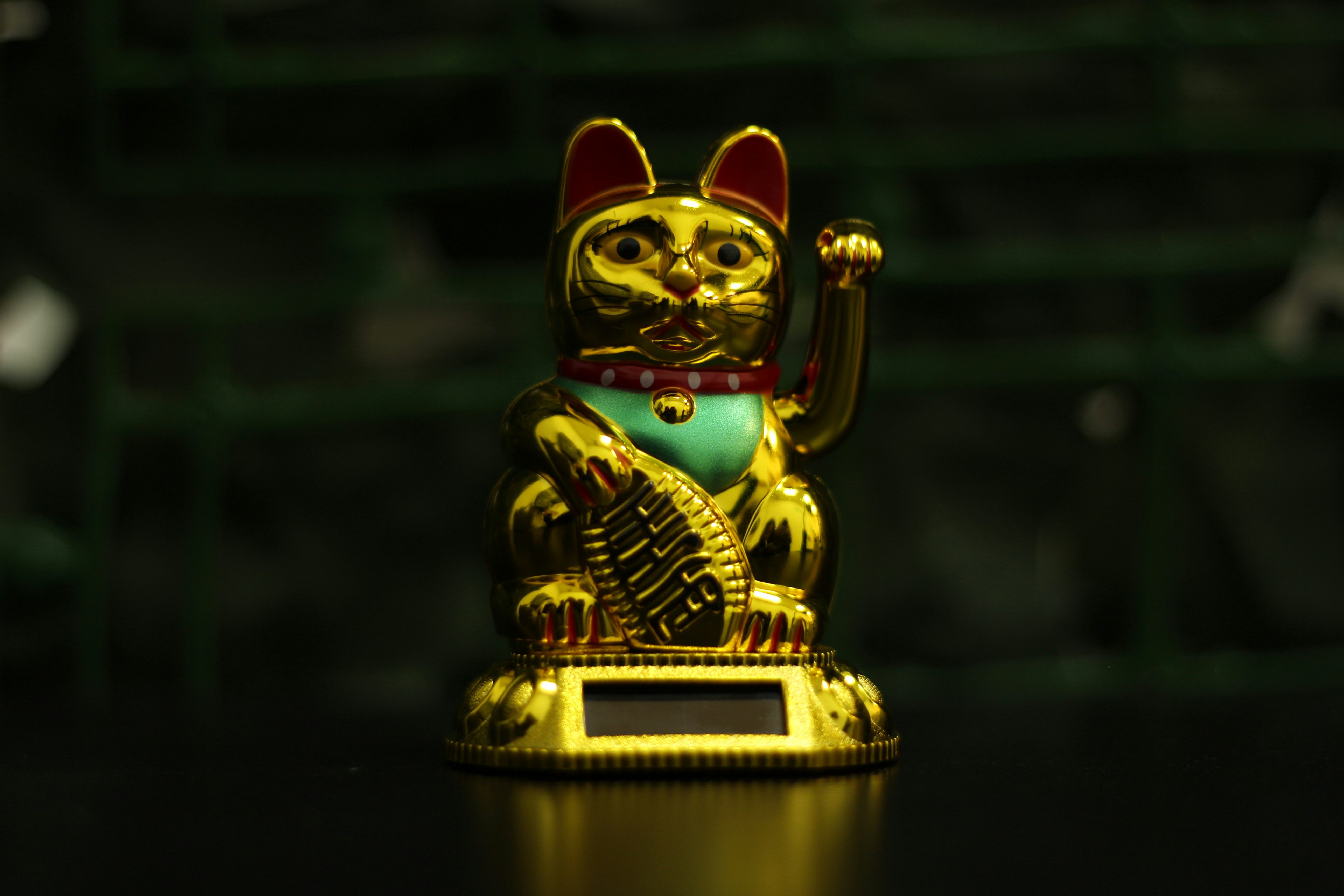 Photo by fotografialuivlad