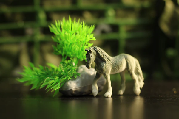 model horse collecting