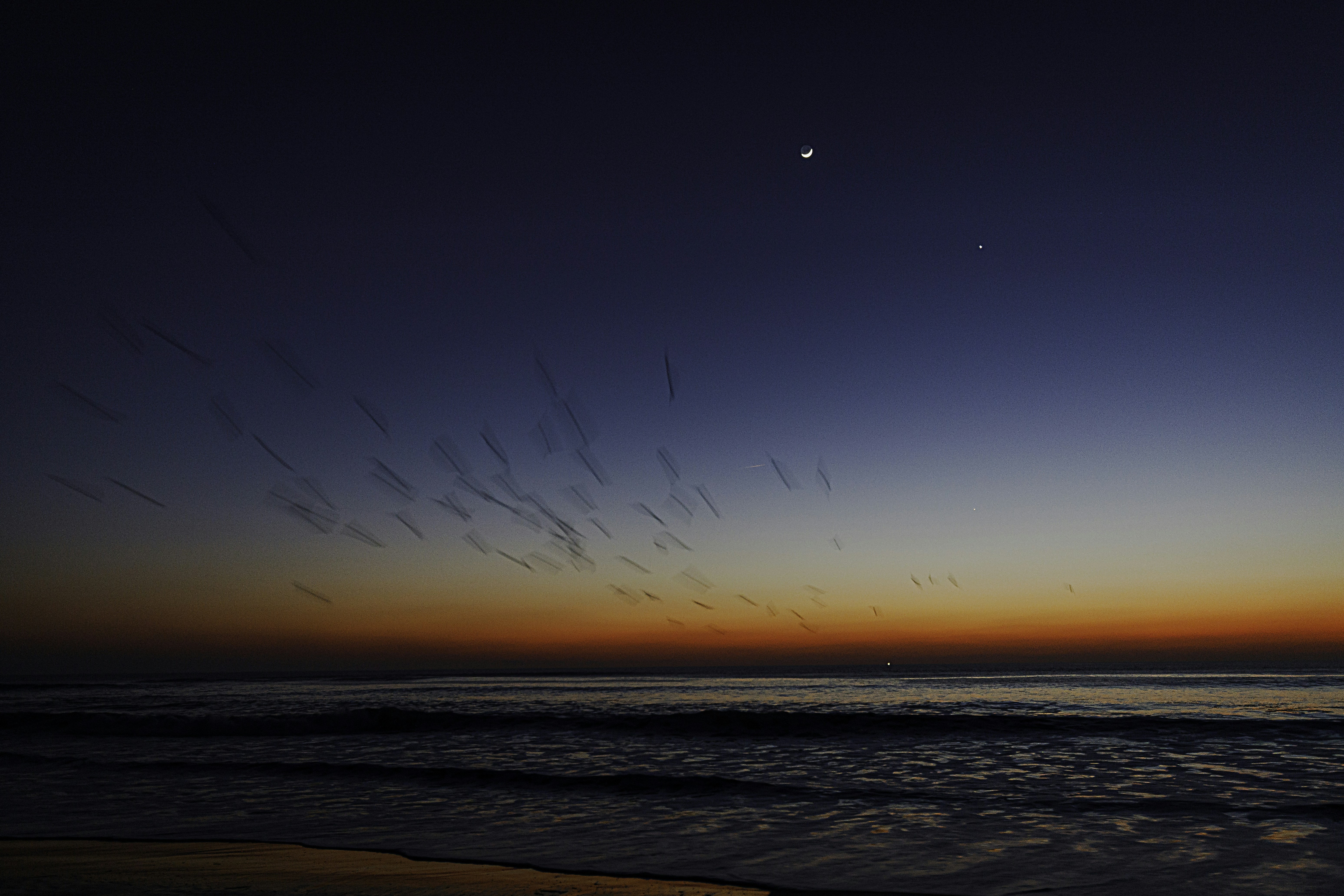 Photo by arizonanthony