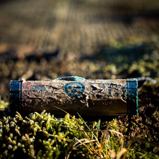 A weathered wooden box sits on the moss.