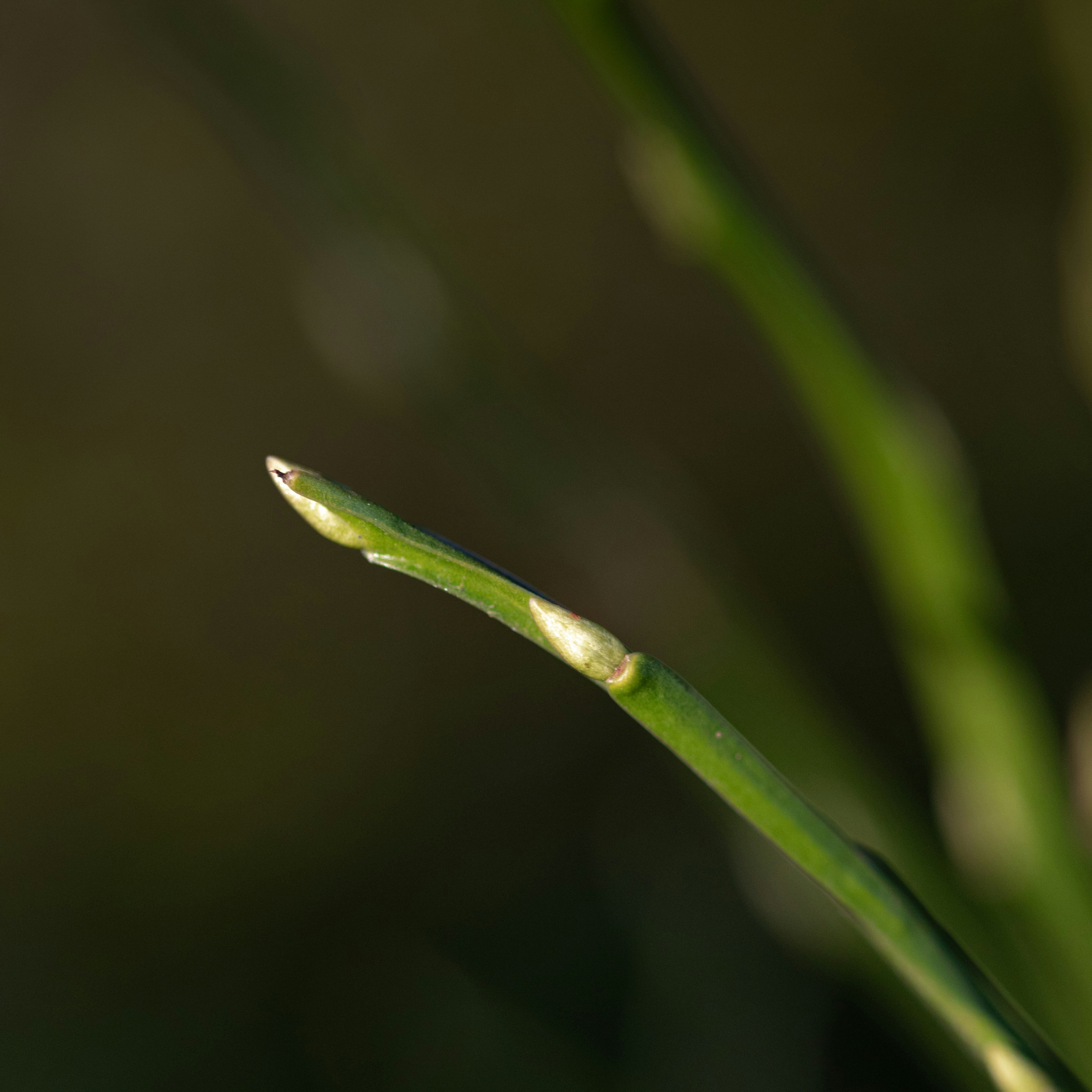 Photo by raw_negative_space