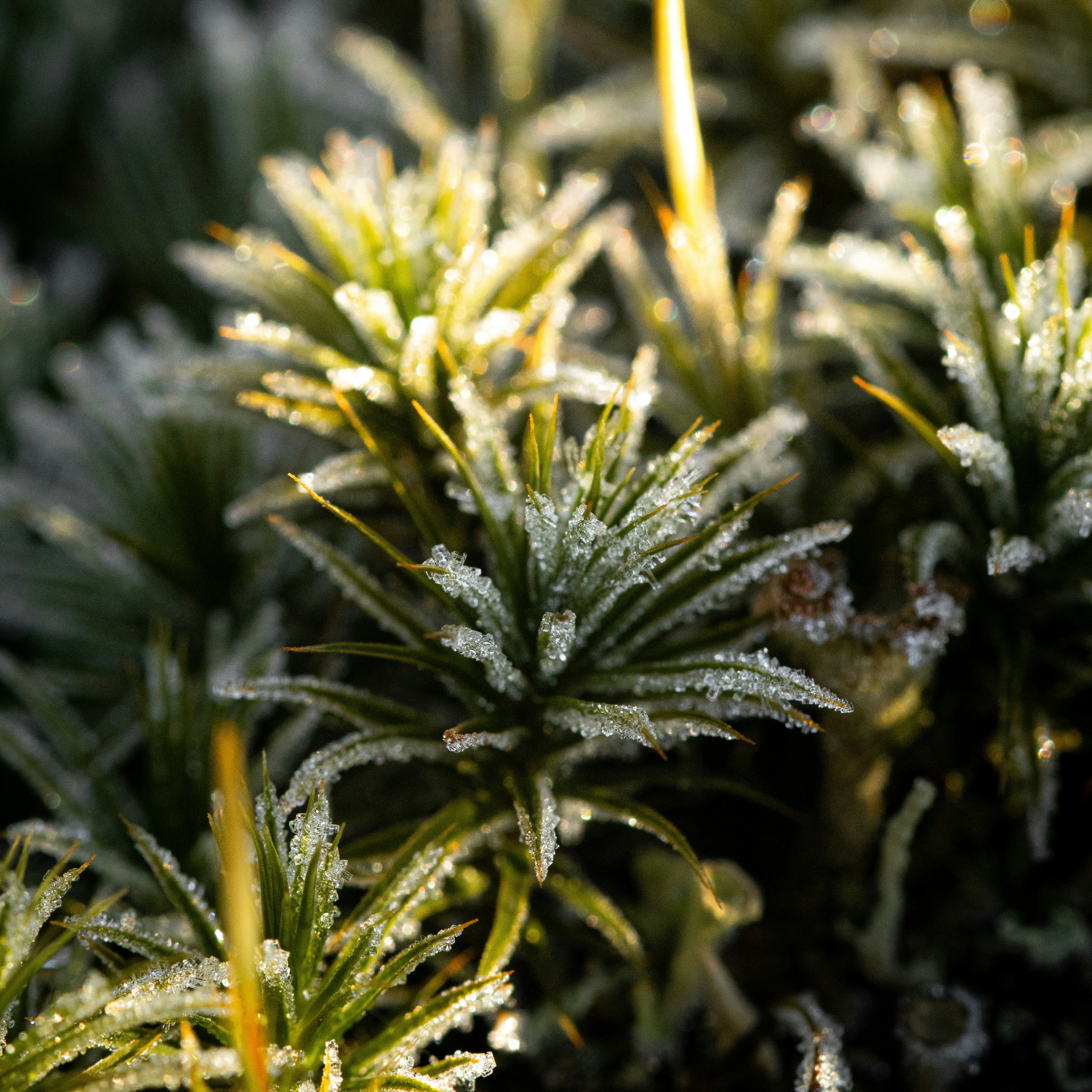 Photo by raw_negative_space