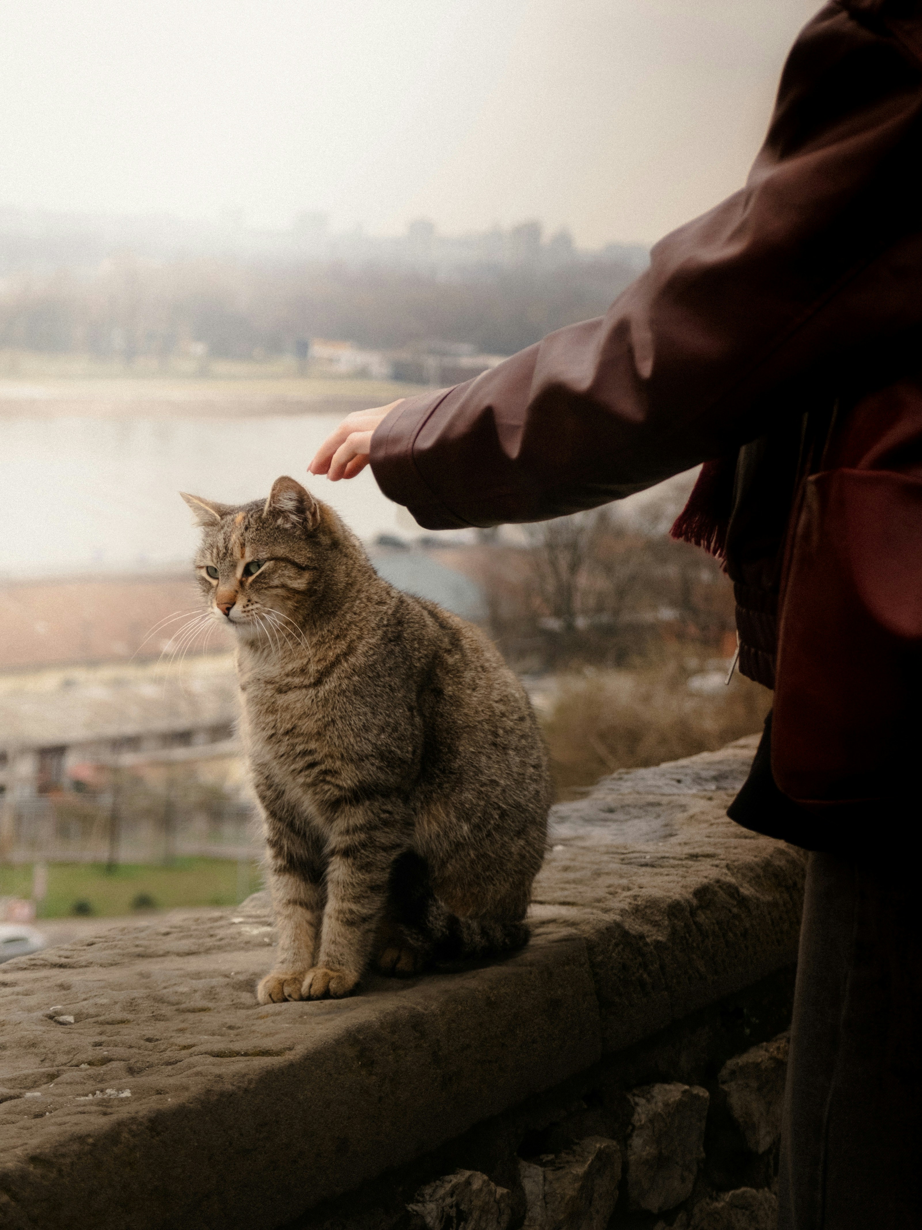 Notice the Outliers (image credits: unsplash)