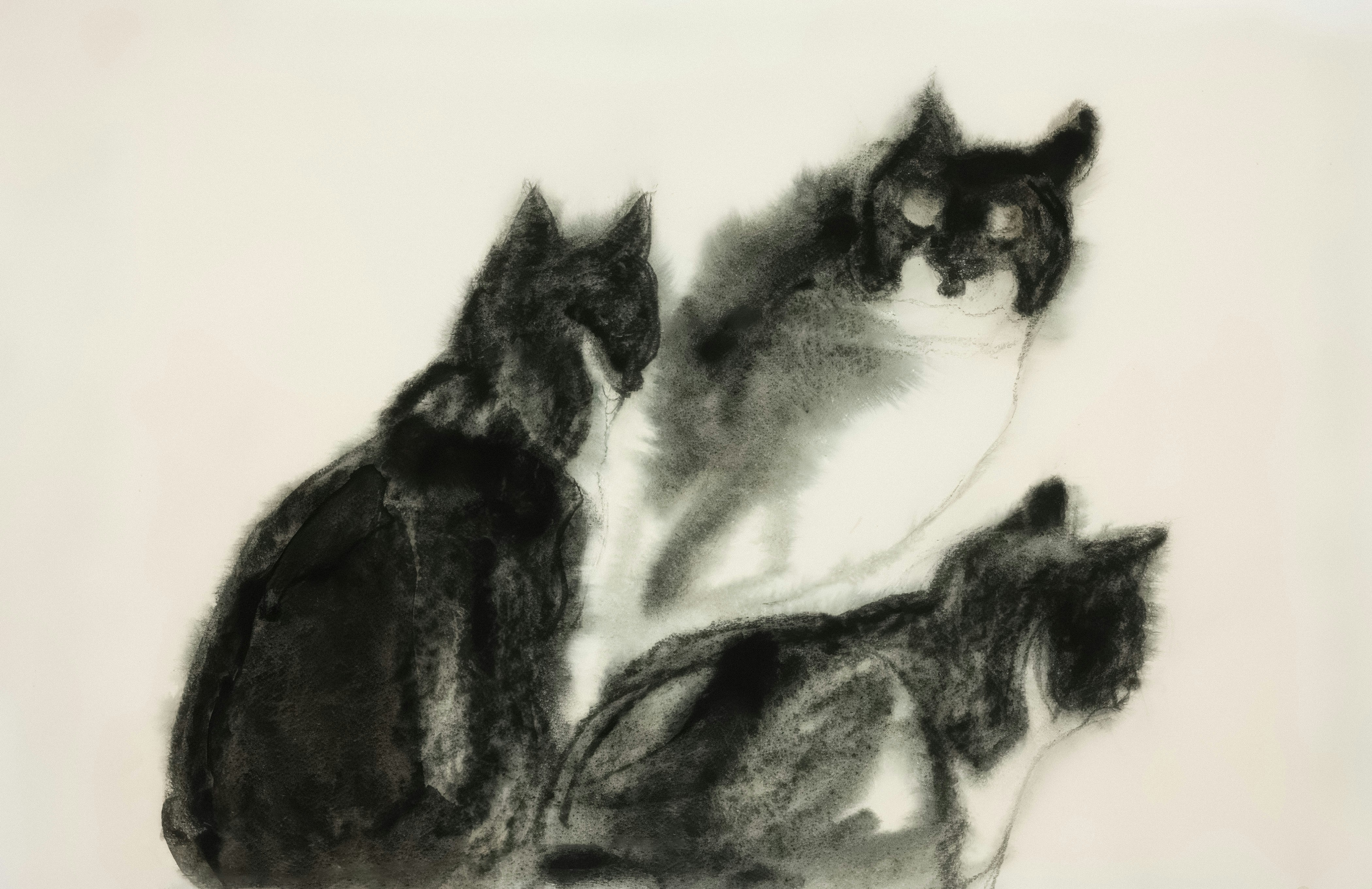 Friday Community Zoom Call