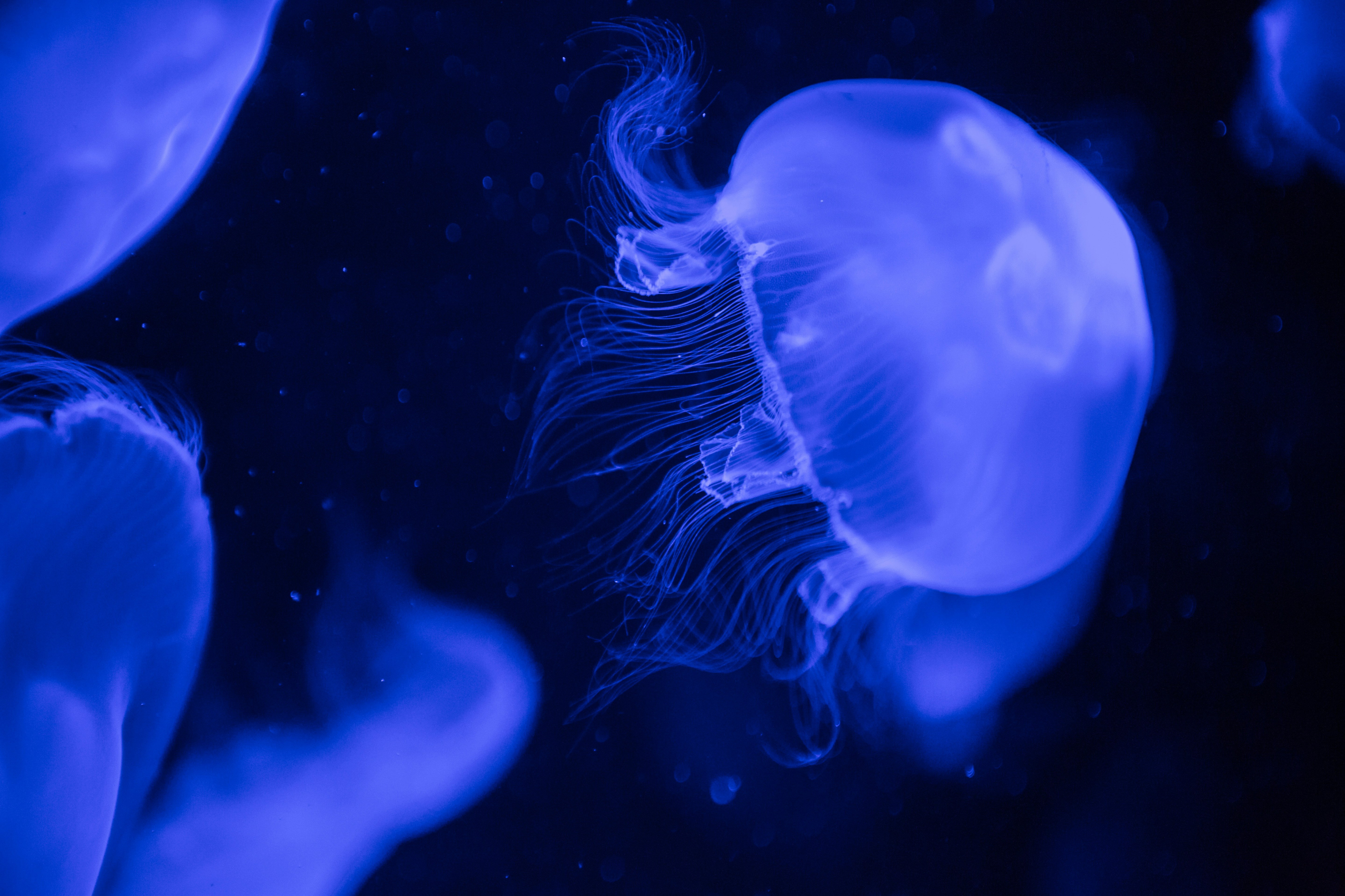 Photo by rafaelpeier