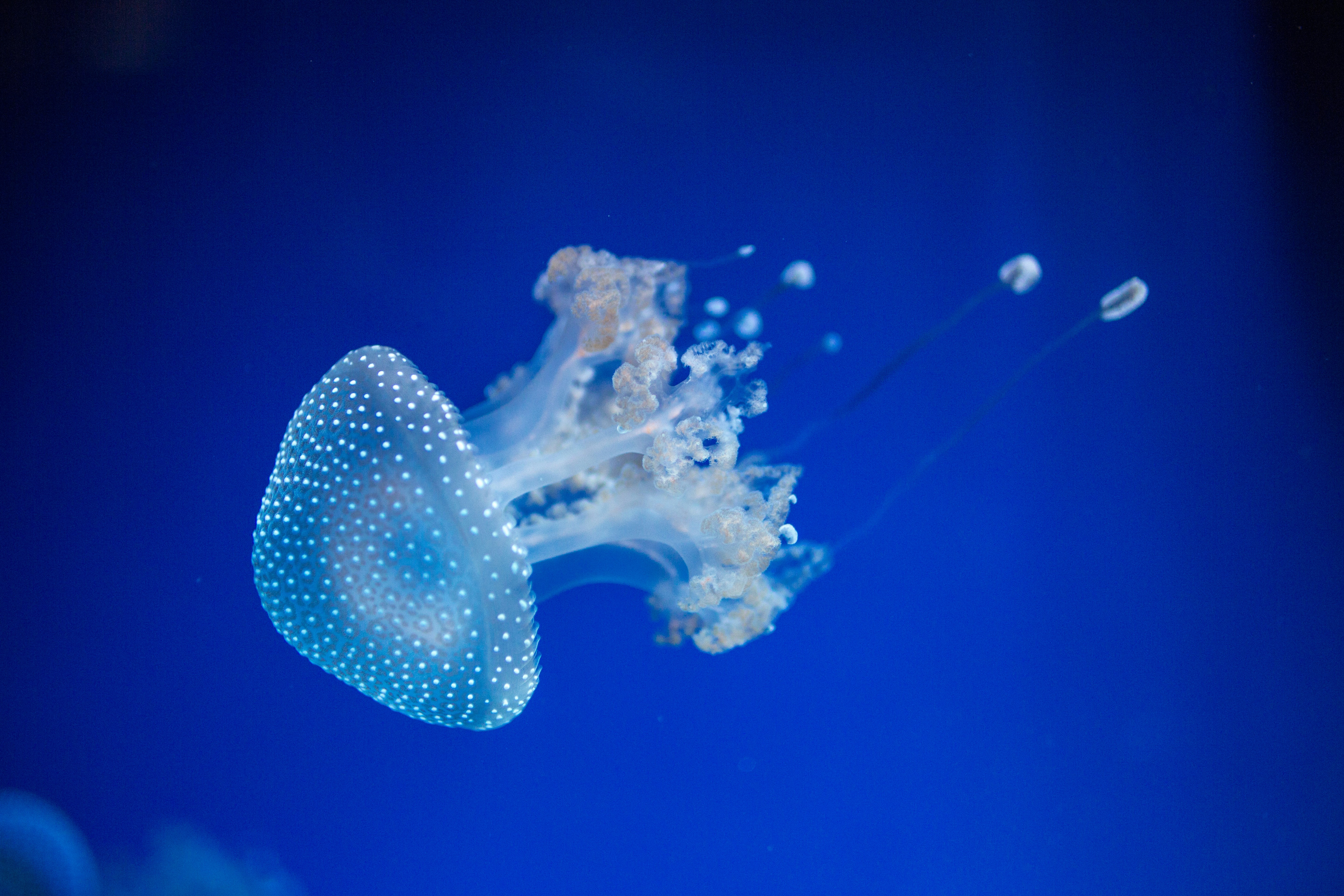 Photo by rafaelpeier