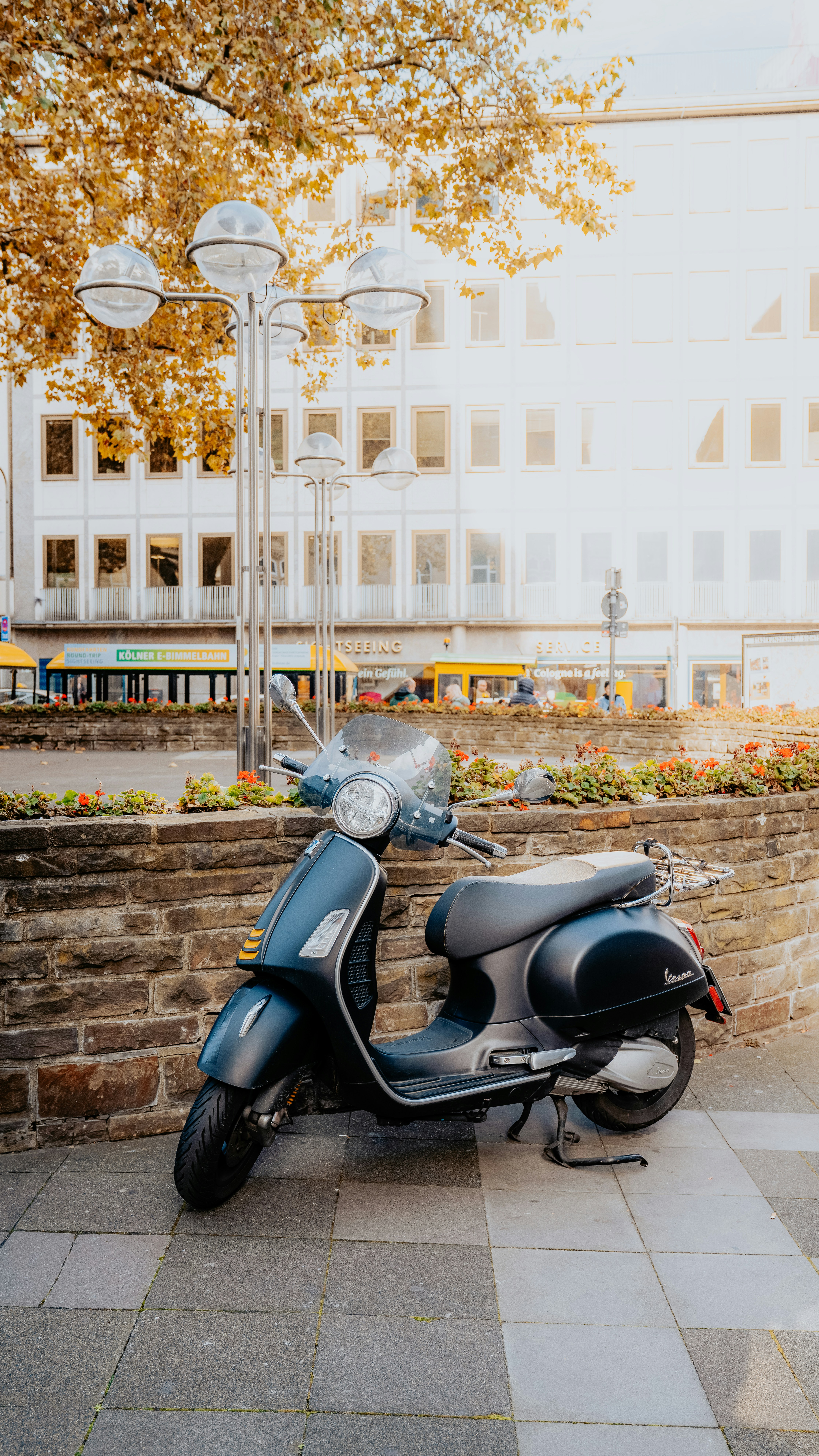 Photo by salahdarwish