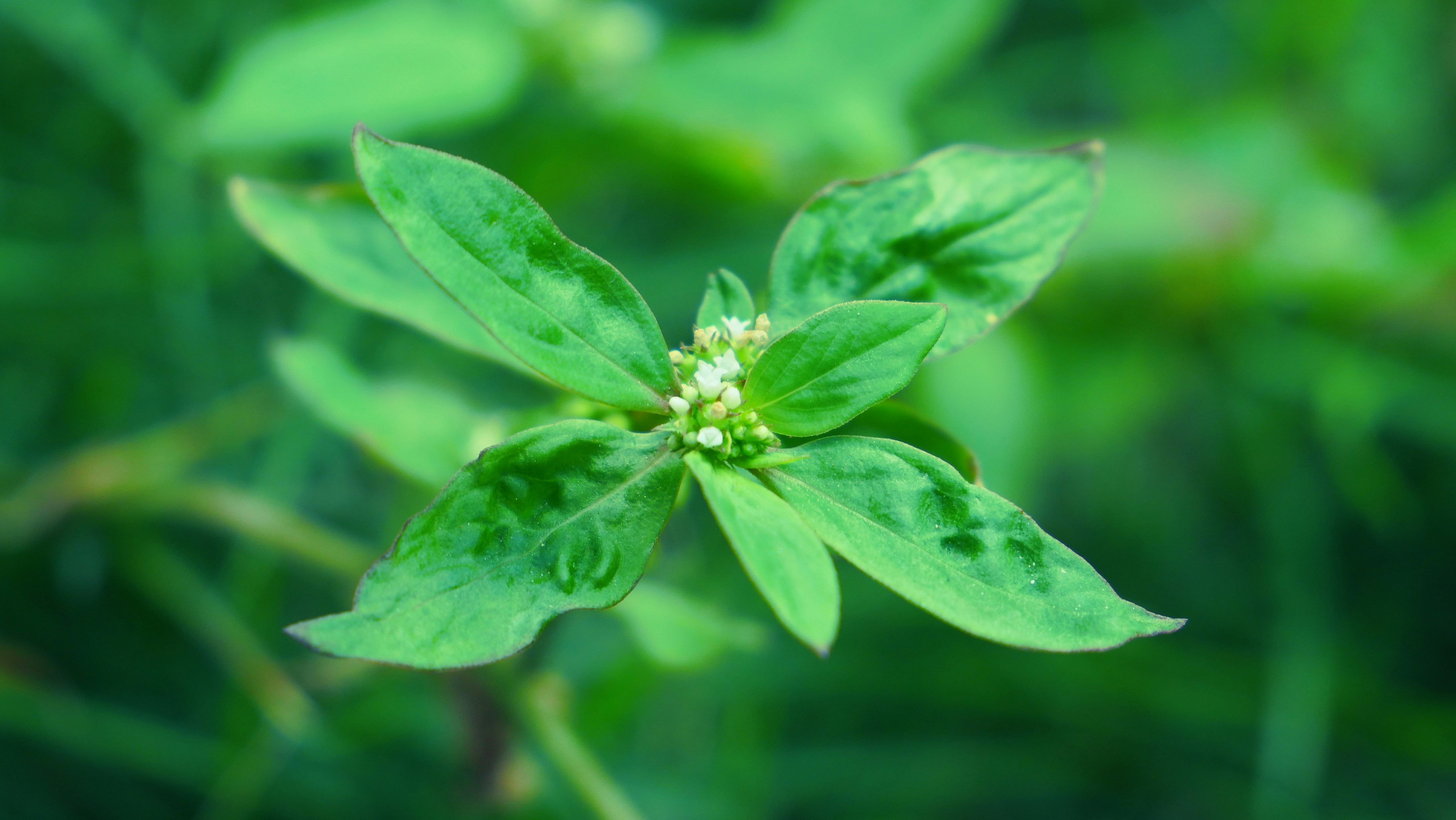 Photo by naturaleza_general