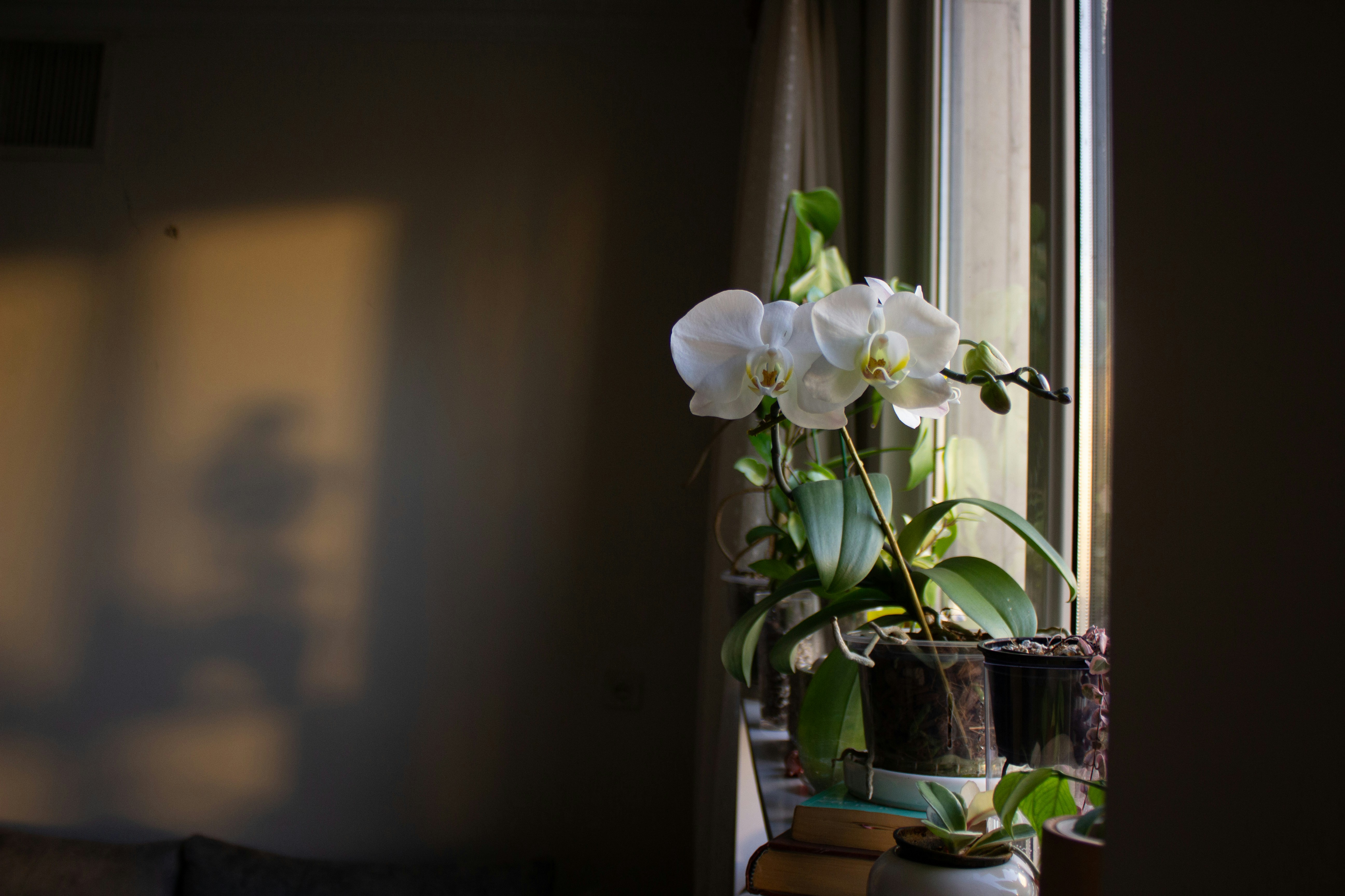 Photo by nilin_journey