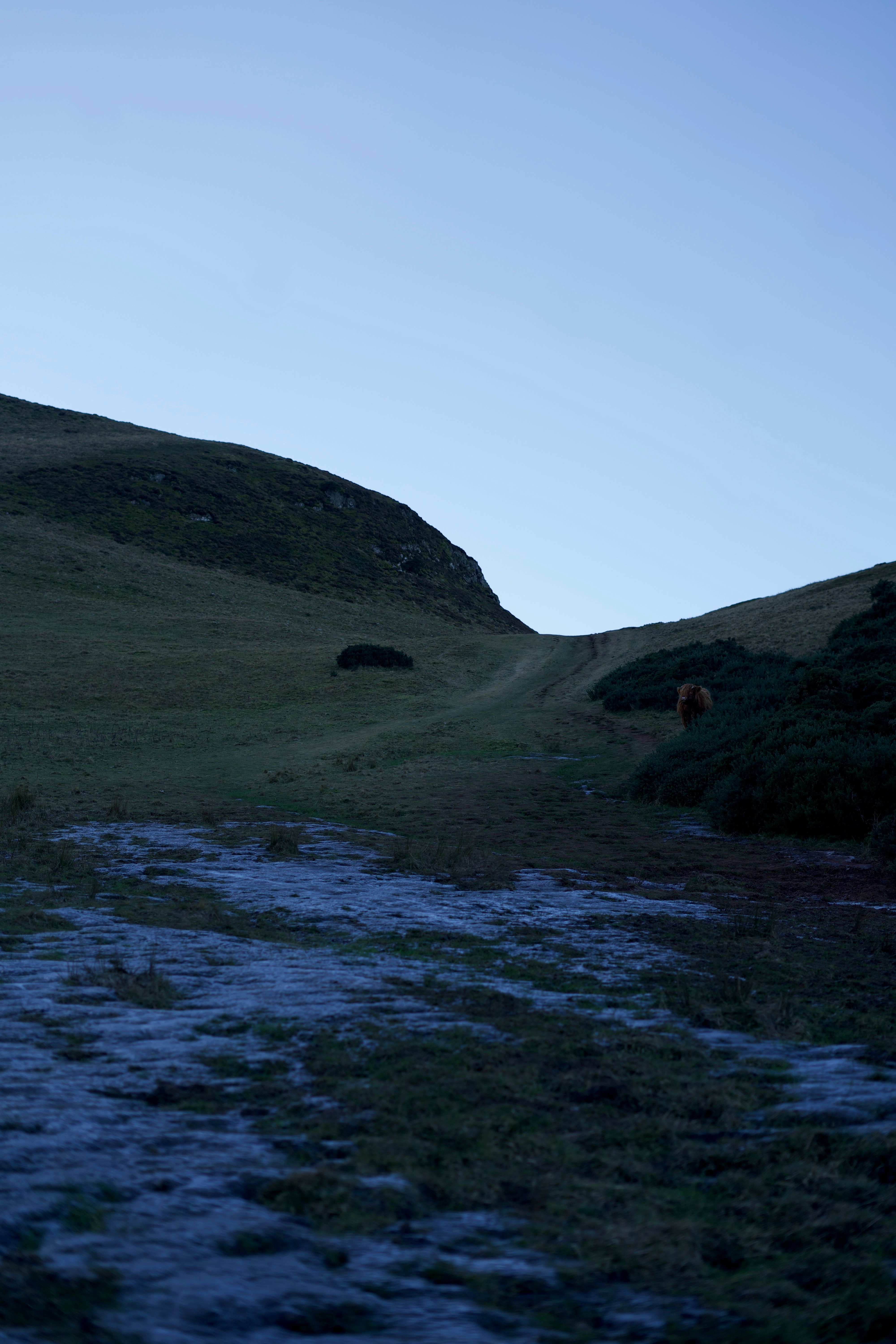 Photo by kris_verityamm