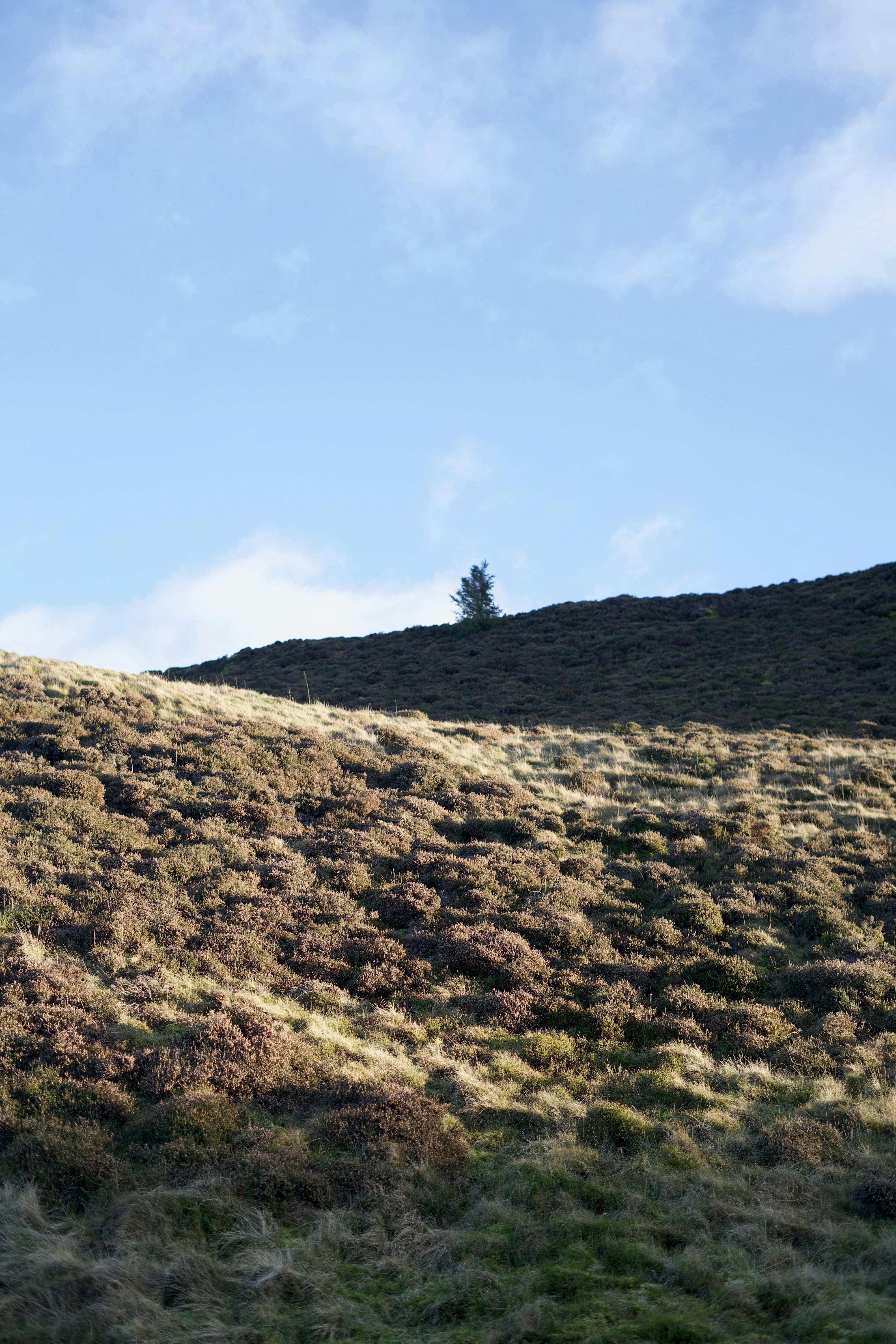 Photo by kris_verityamm