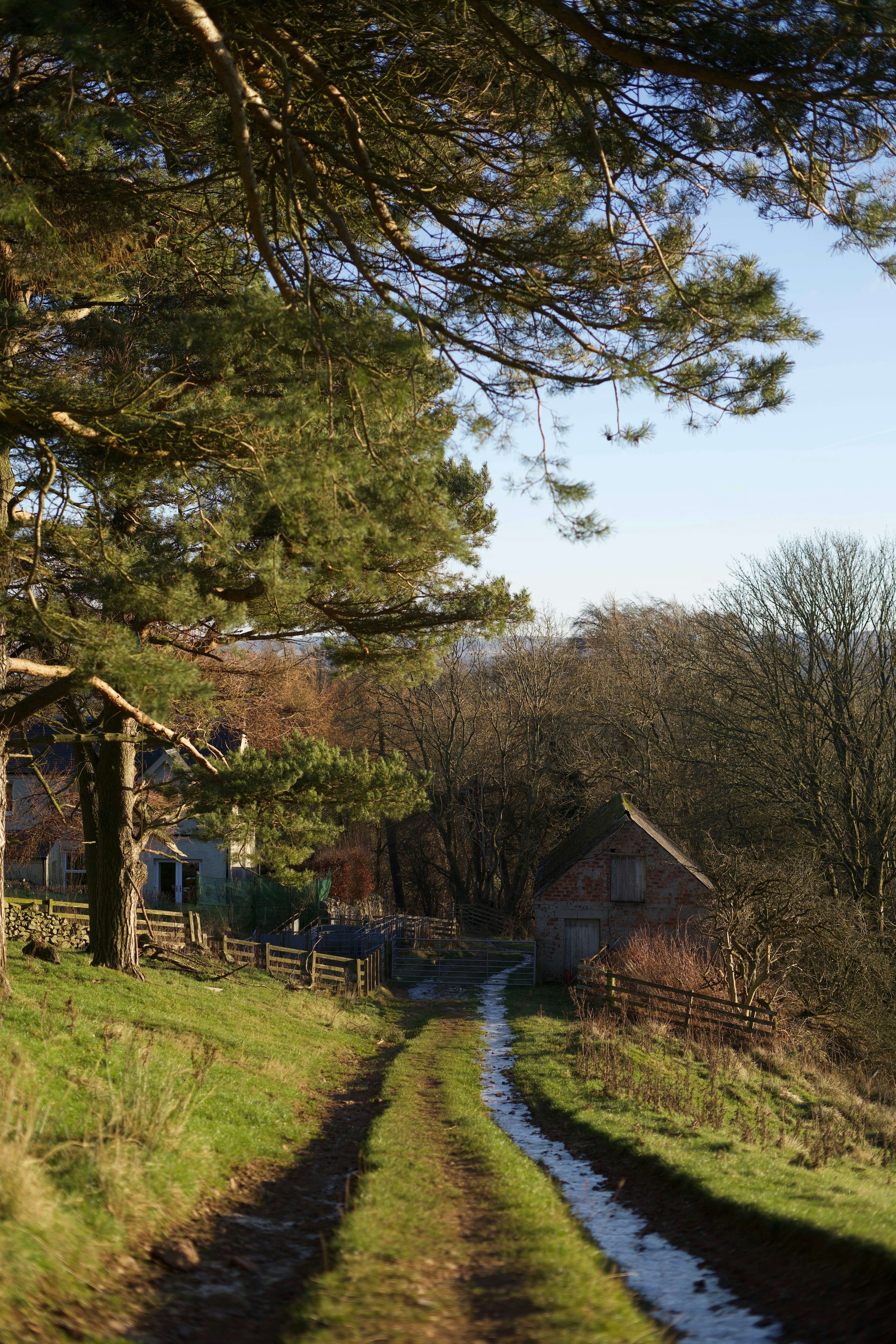 Photo by kris_verityamm