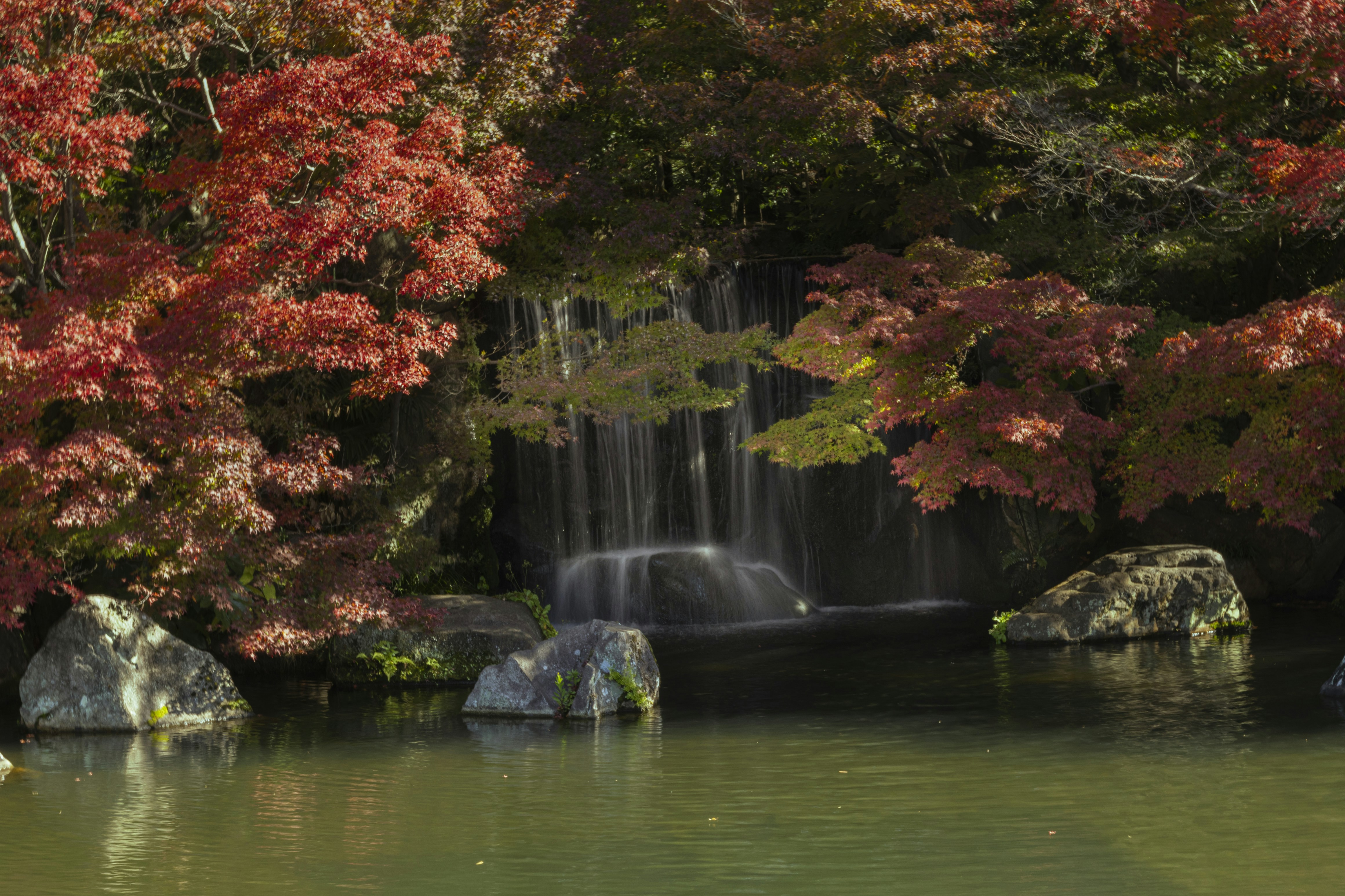 Photo by charlie1224