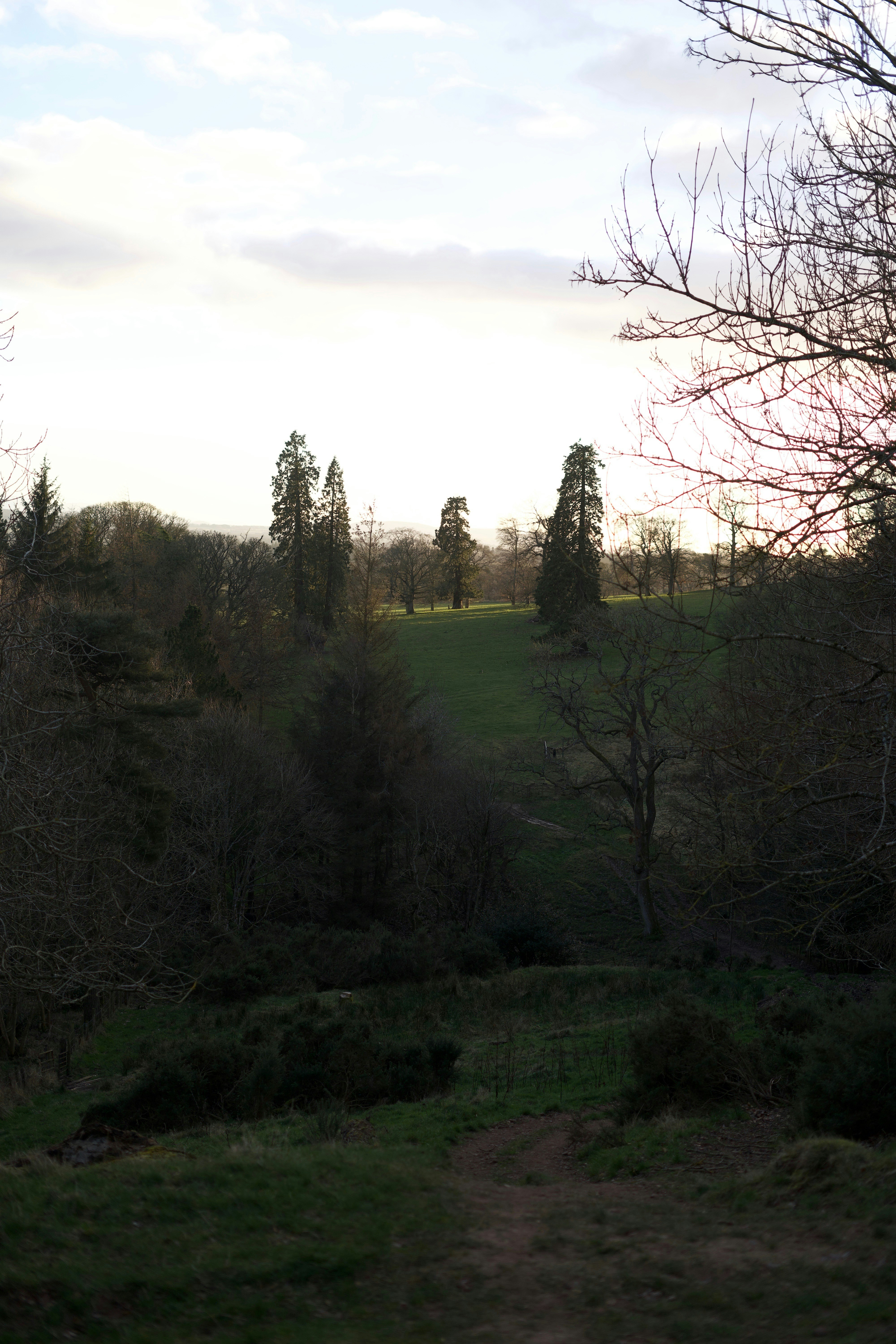 Photo by kris_verityamm