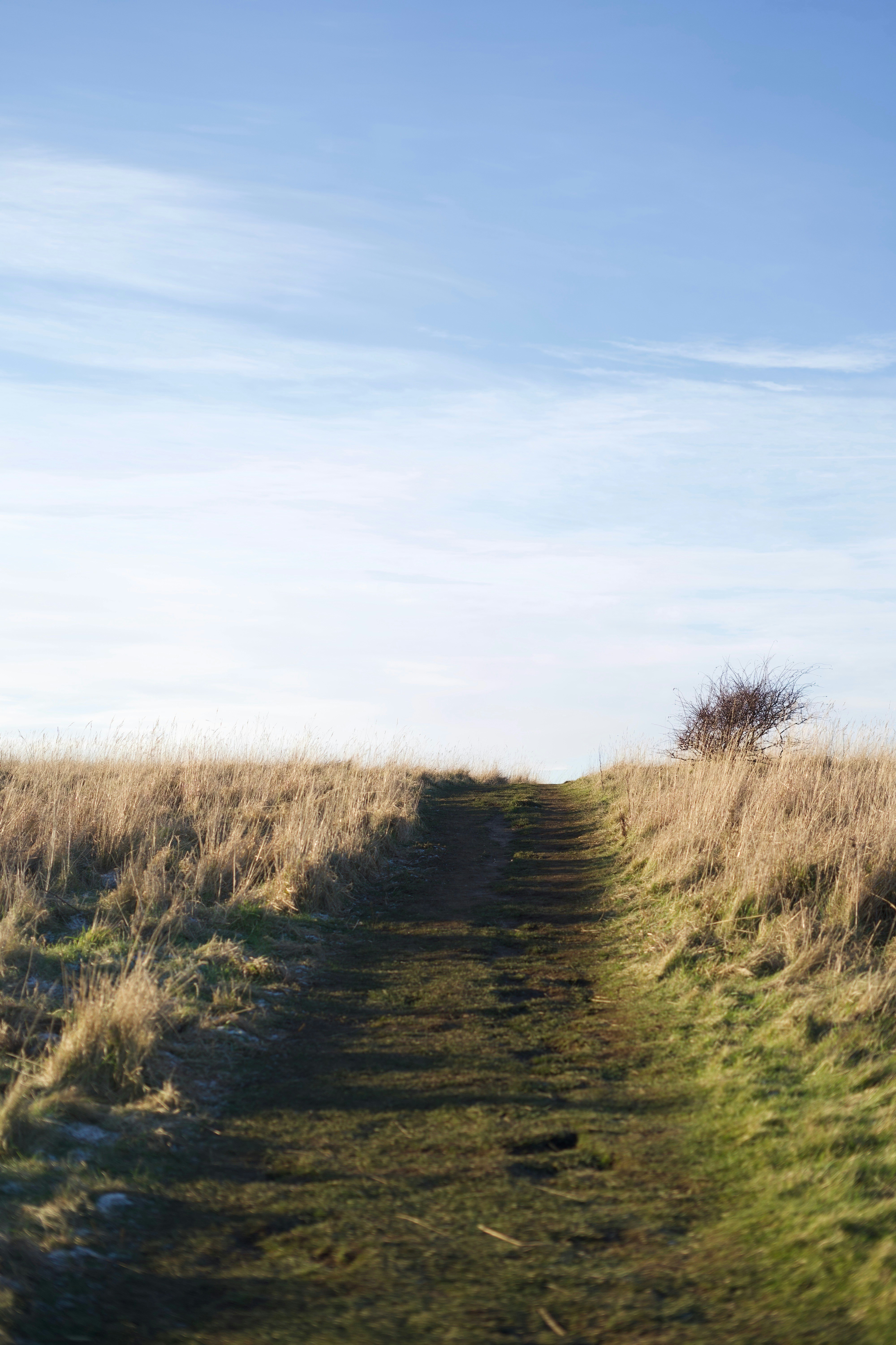 Photo by kris_verityamm