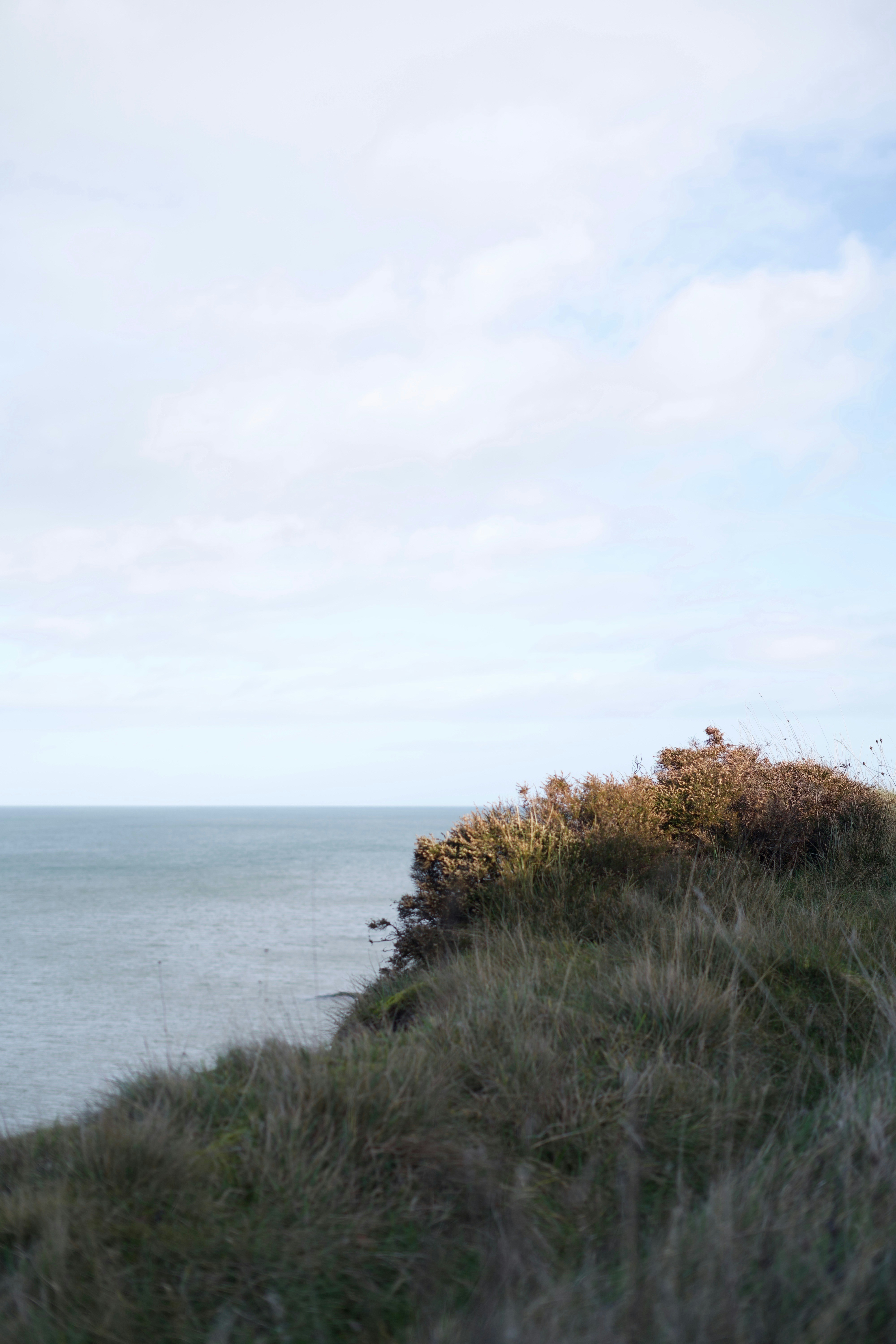 Photo by kris_verityamm