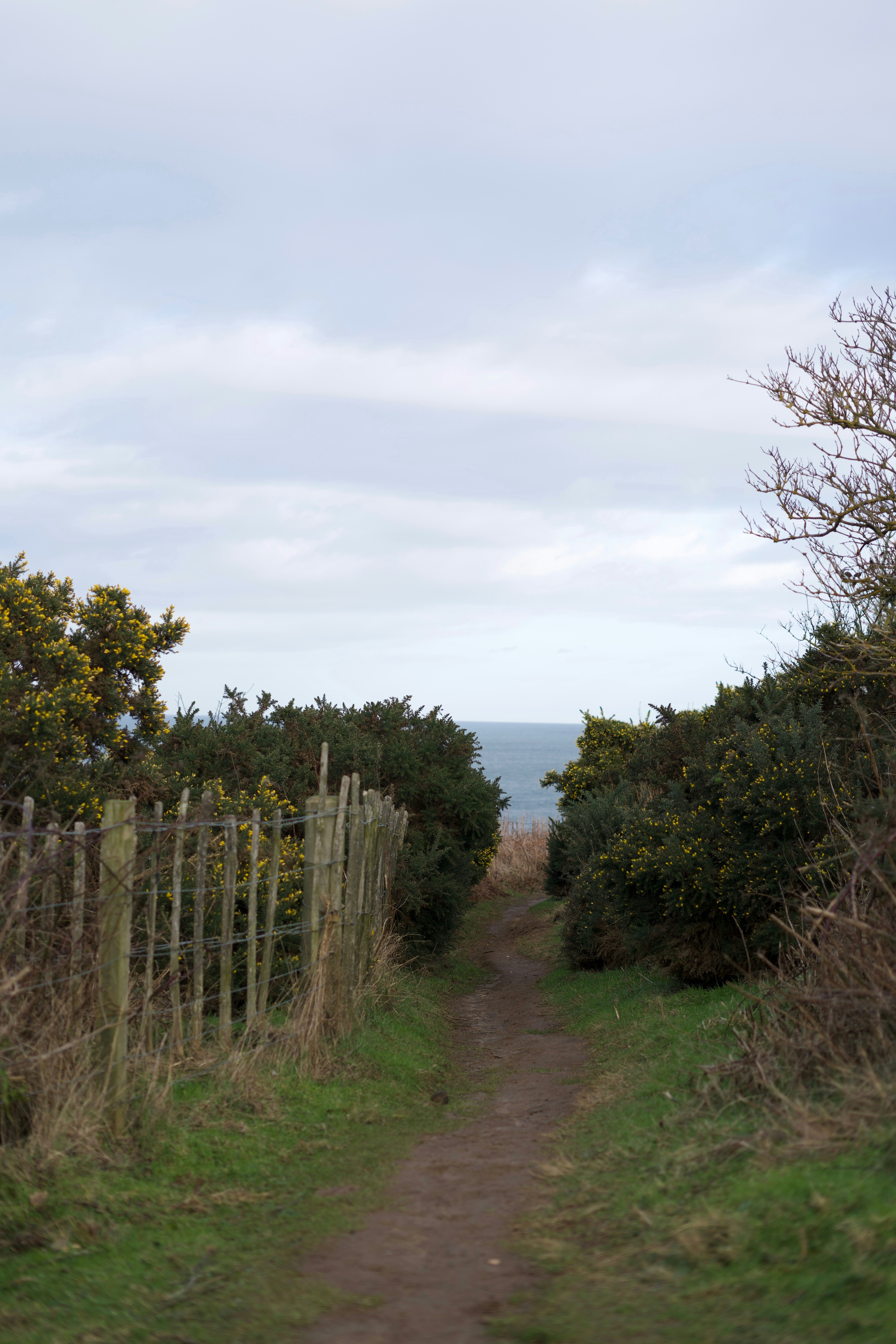 Photo by kris_verityamm