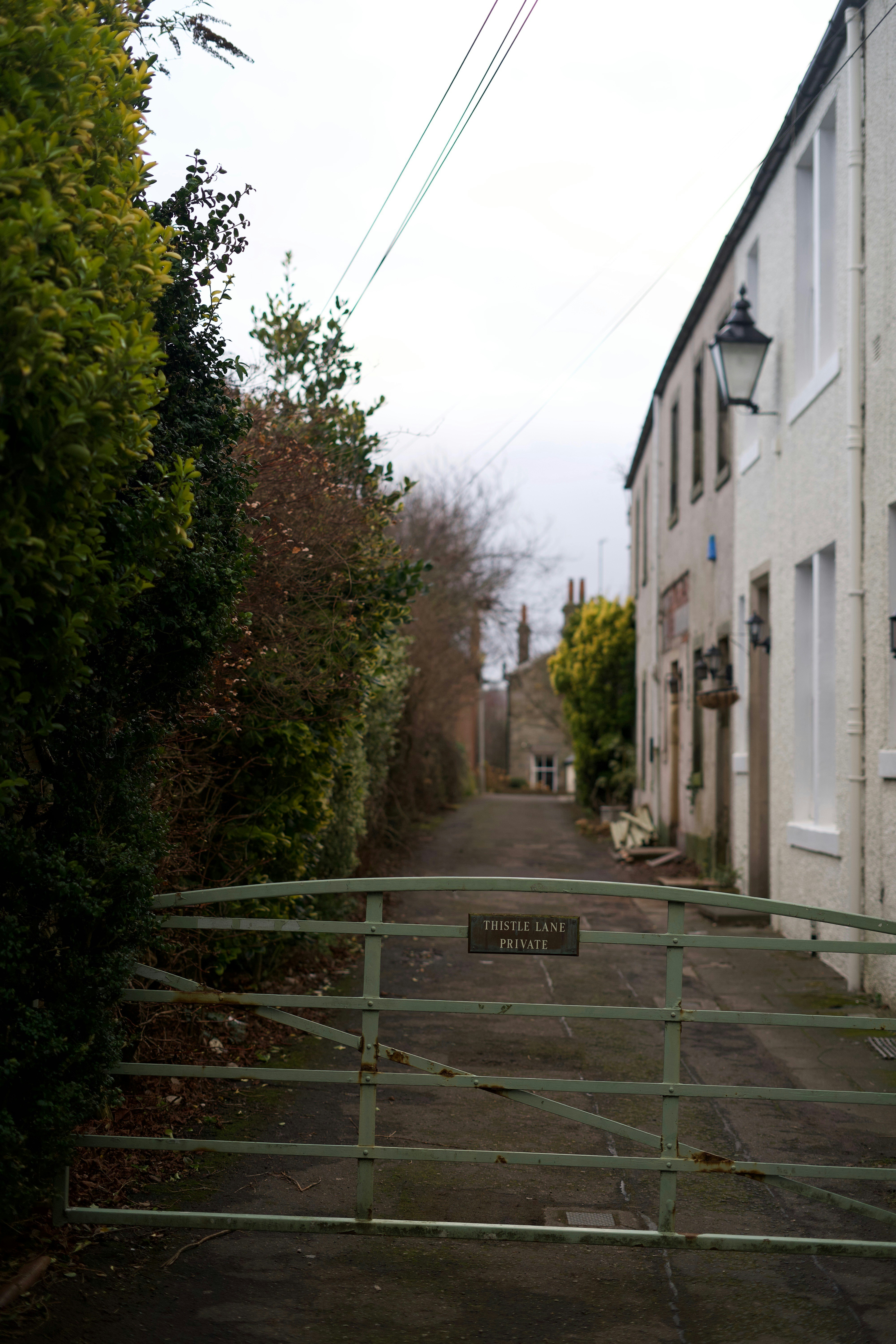 Photo by kris_verityamm