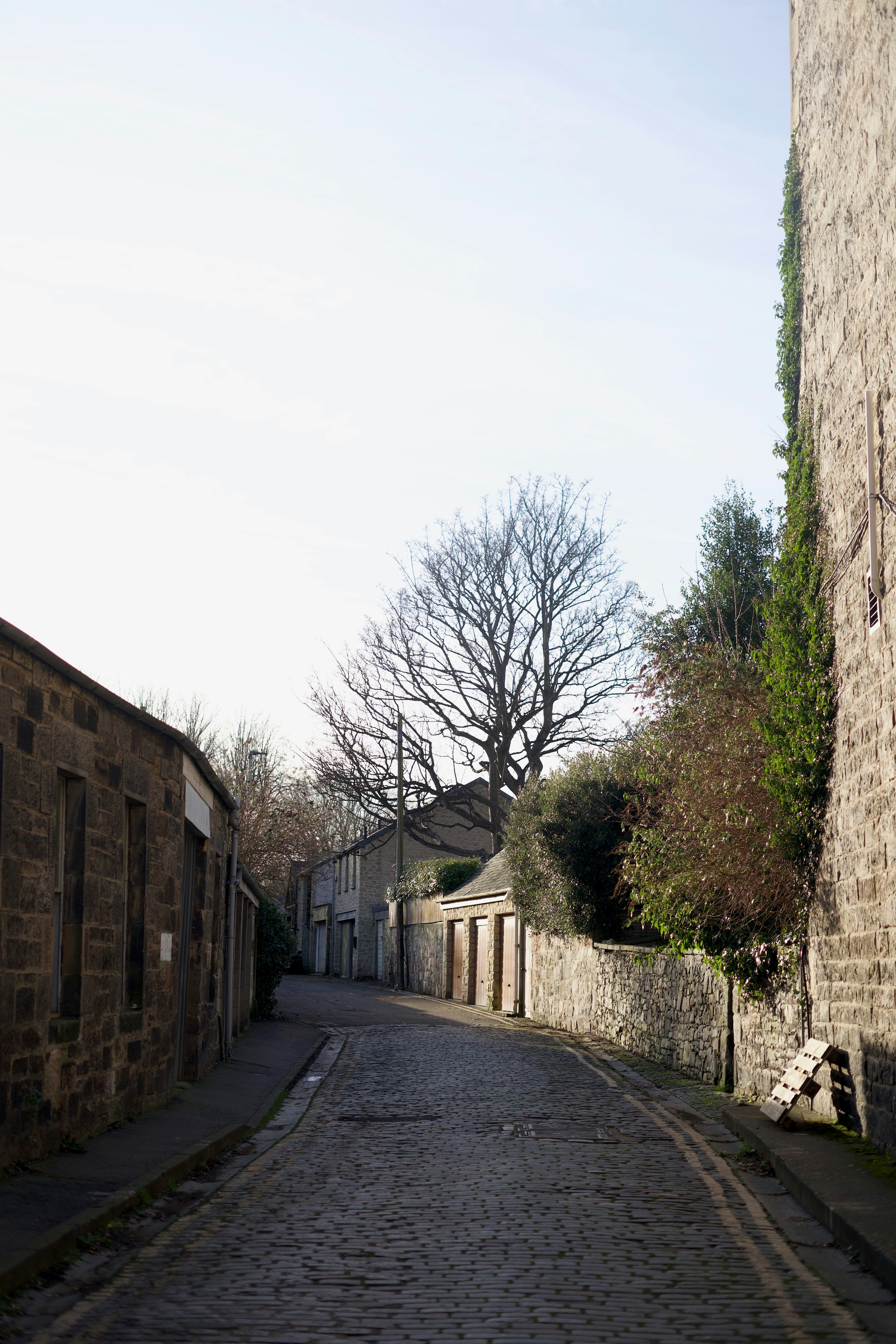 Photo by kris_verityamm