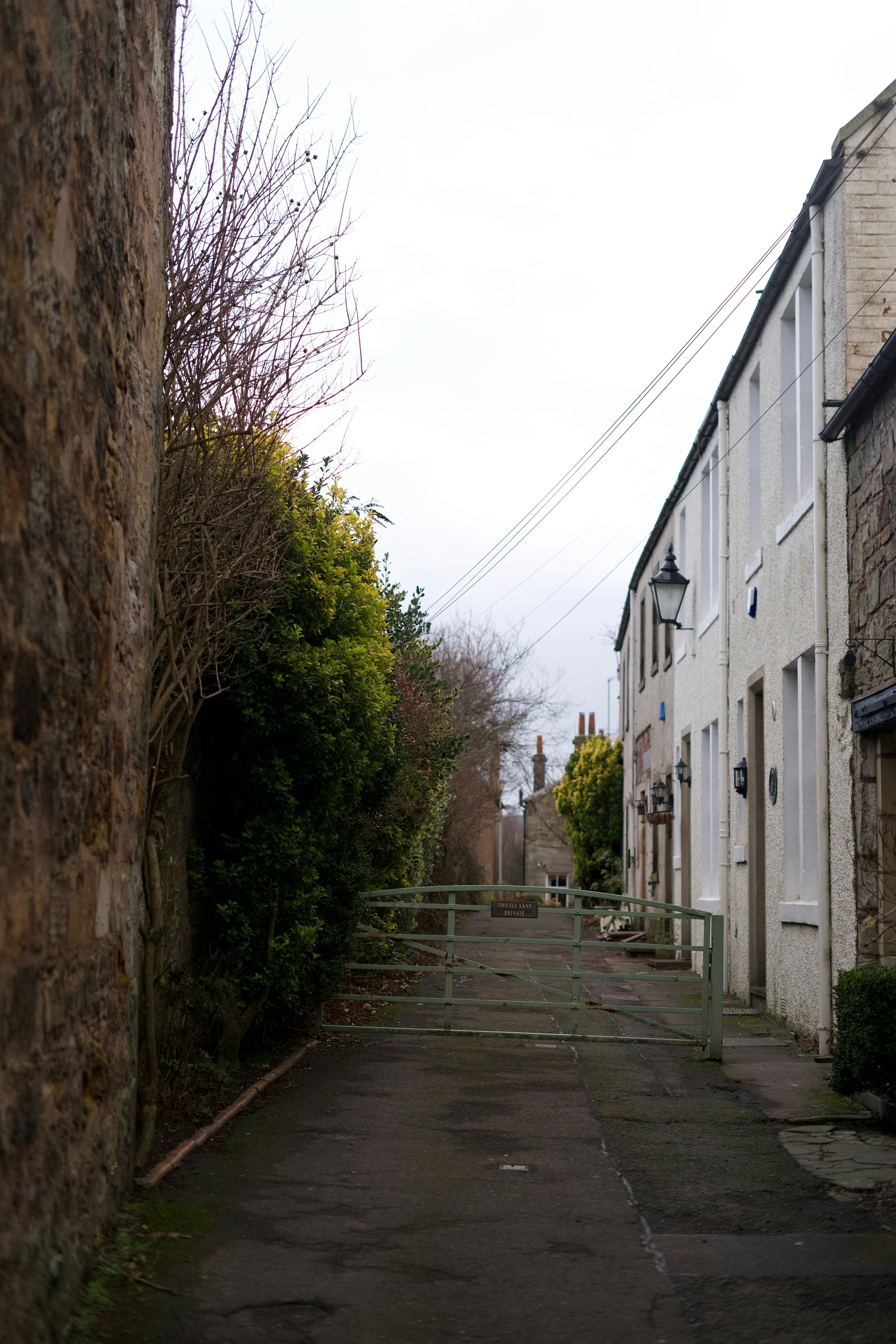 Photo by kris_verityamm