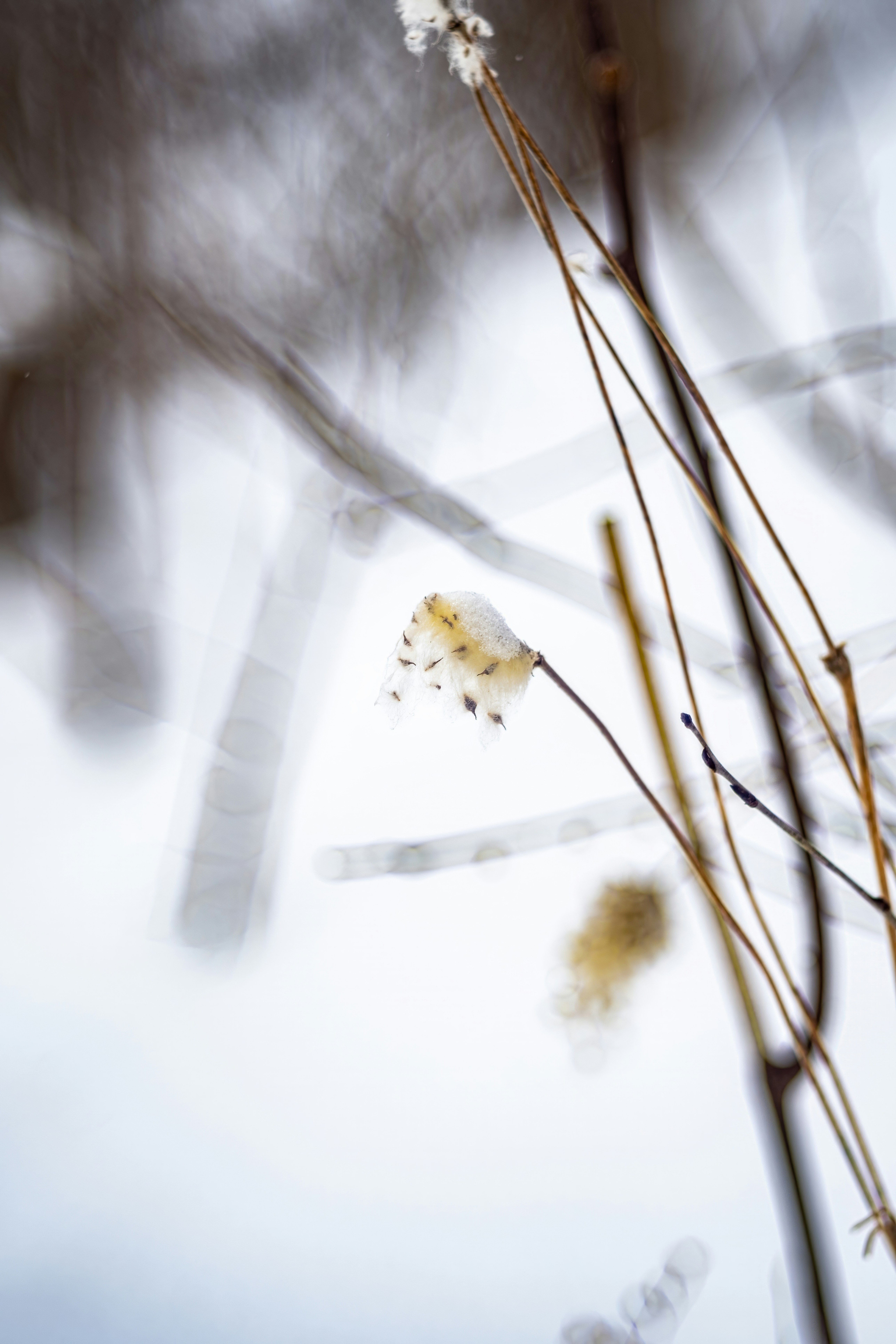 Photo by alexandredaoust