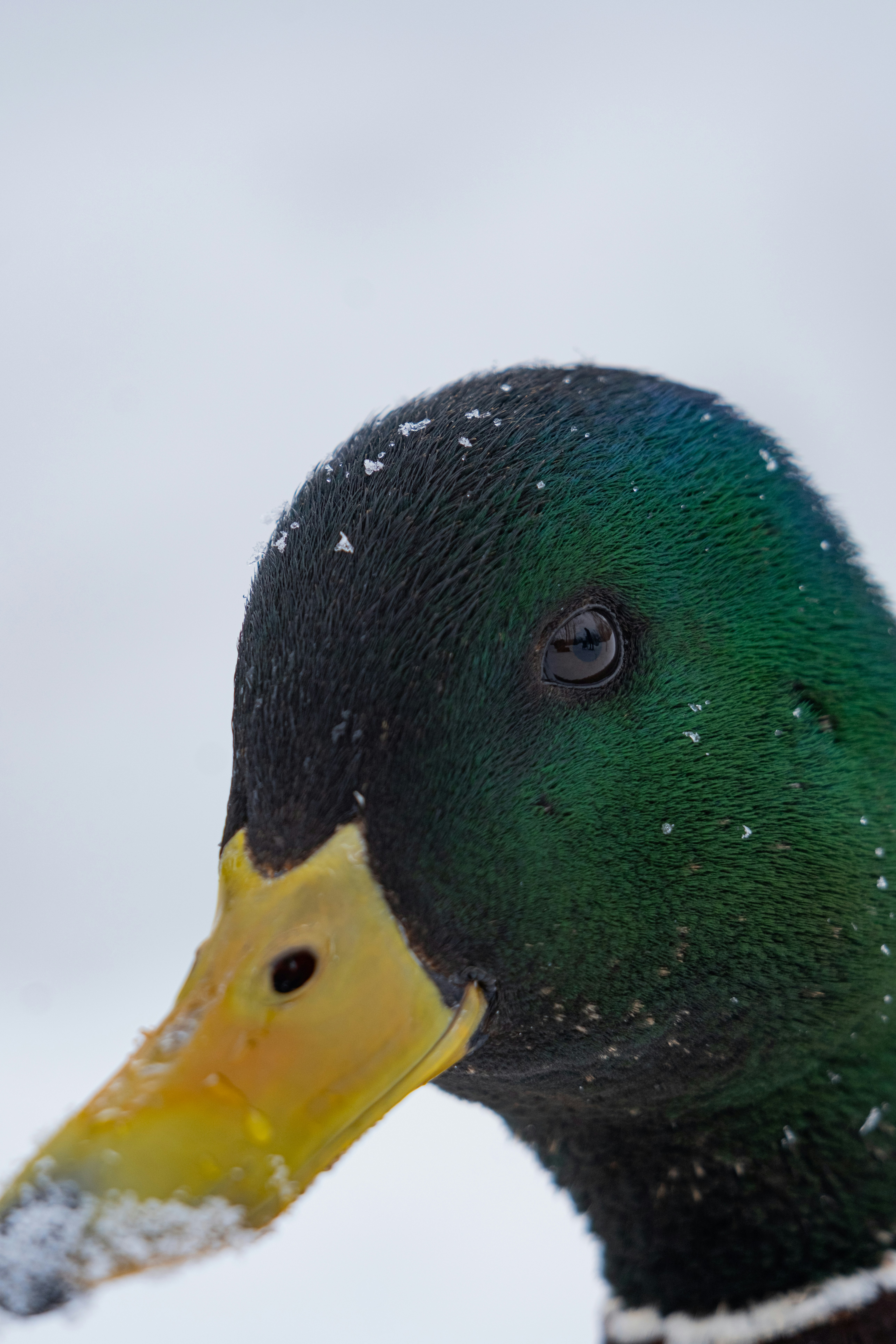 Photo by alexandredaoust